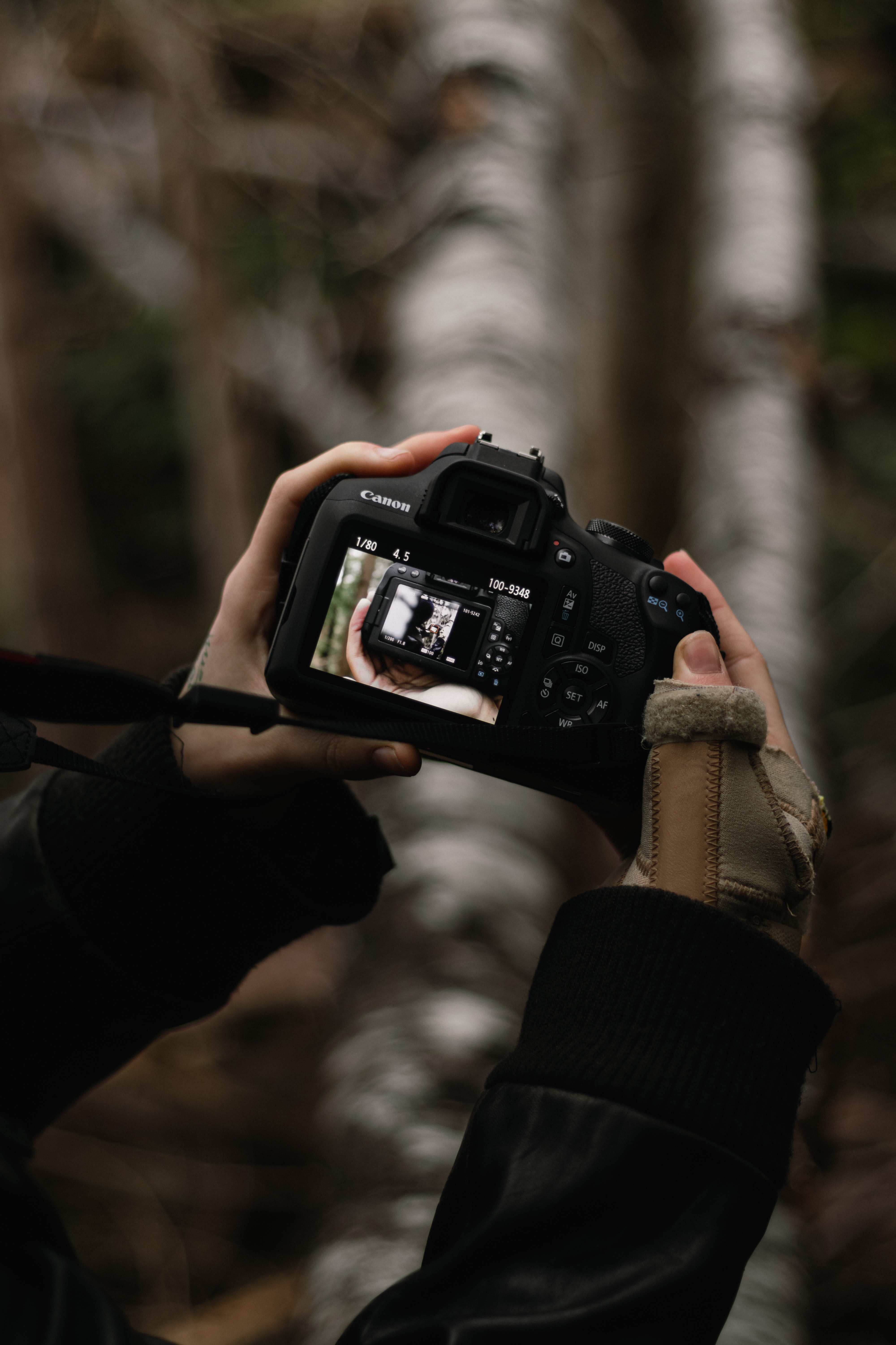 Обои фотограф аппарат снимок на рабочий стол