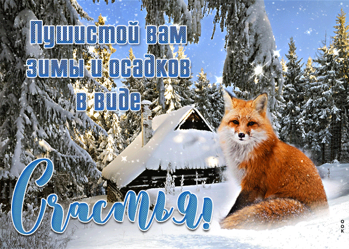 Лиса сидит на снегу