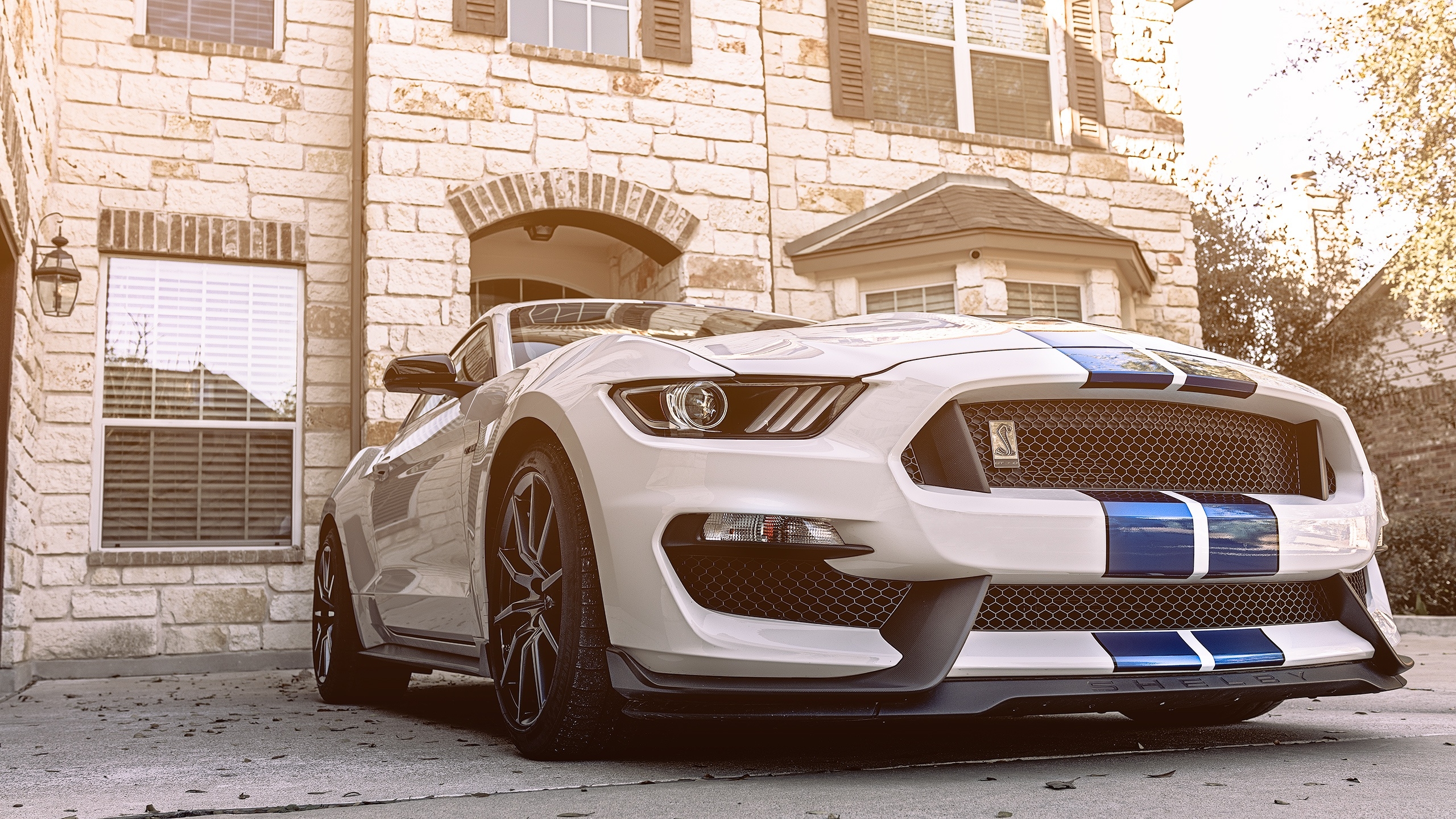 Бесплатное фото Белый ford mustang shelby gt350 с синими полосами