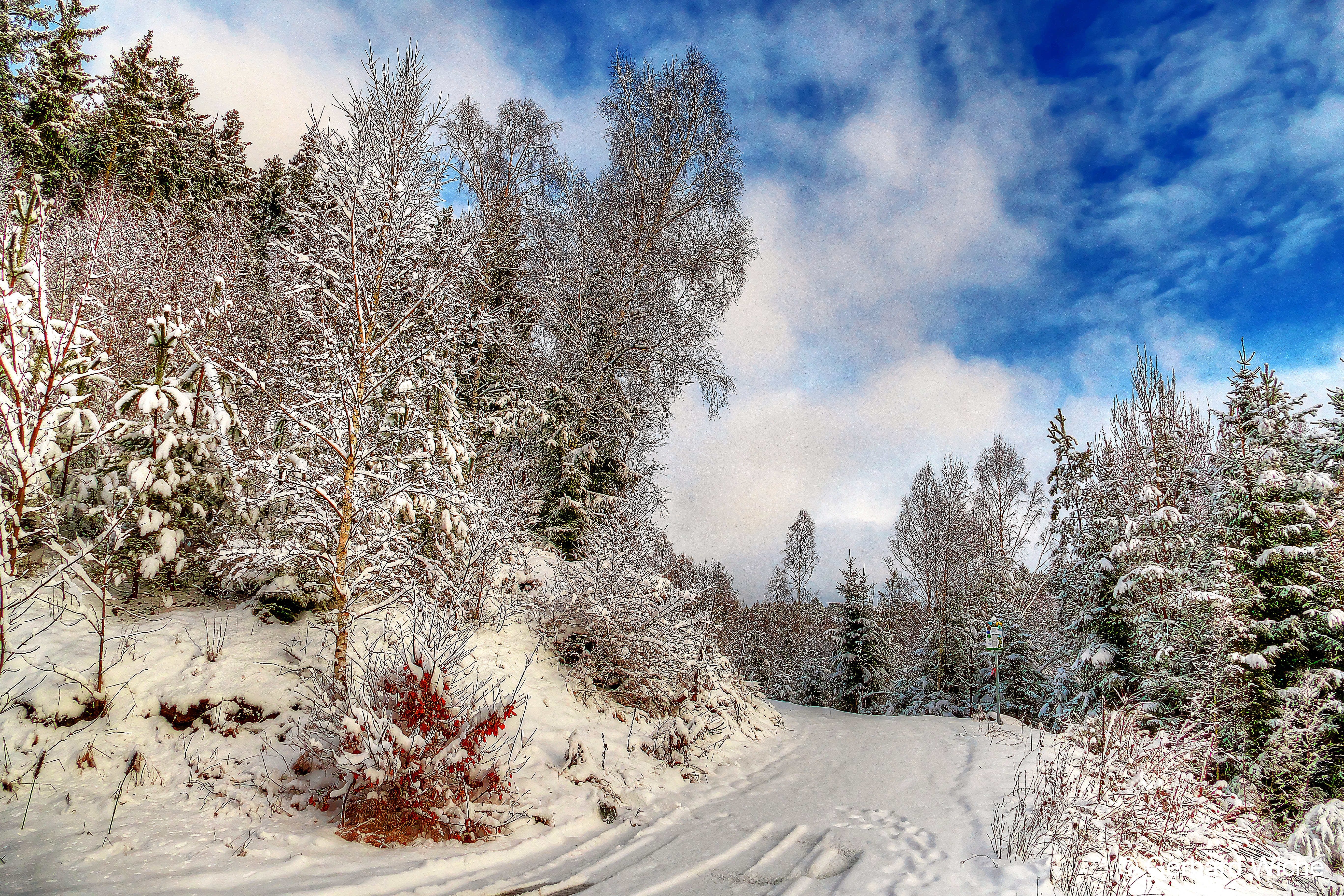 Wallpapers nature winter road road on the desktop