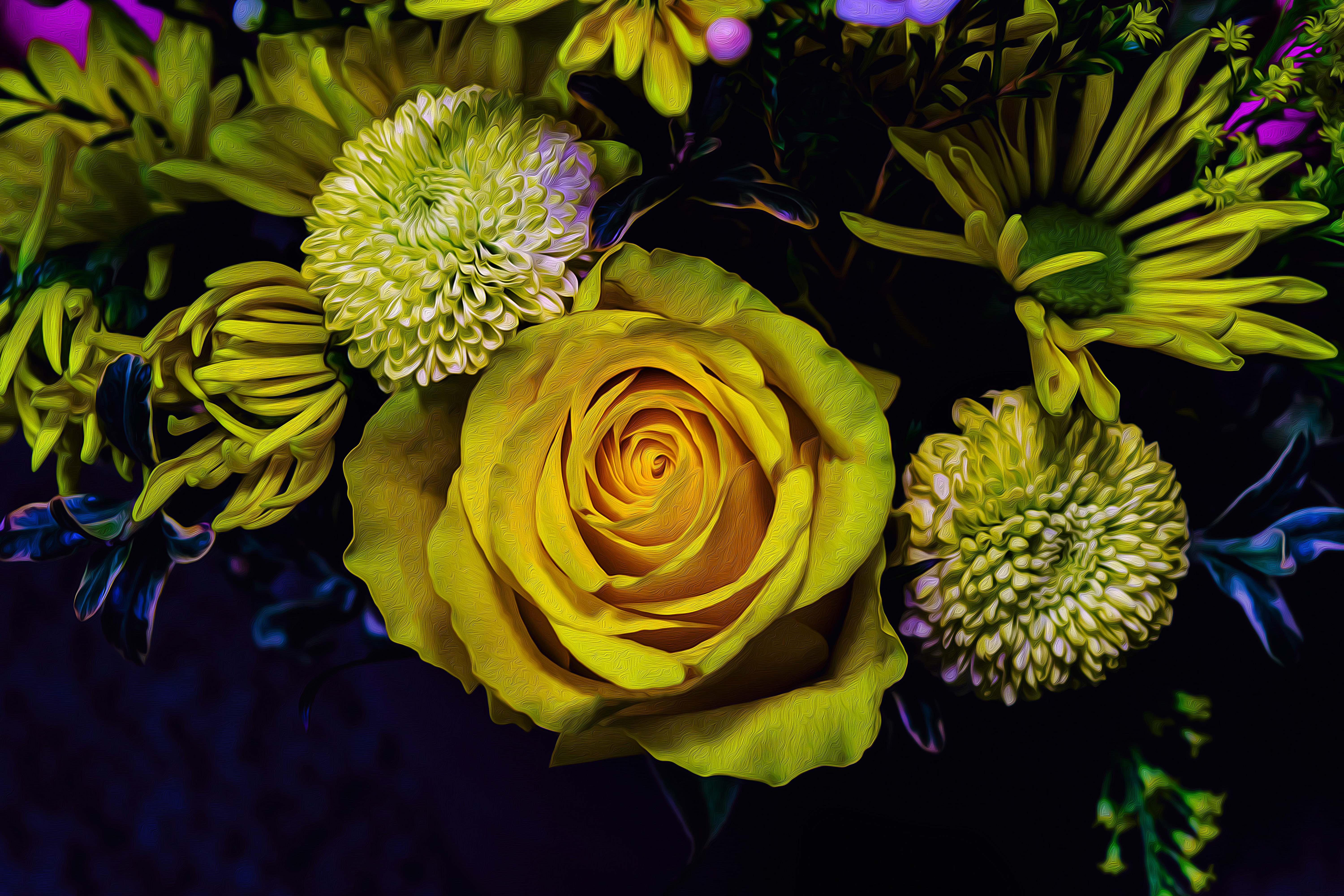 Wallpapers flowers dahlias rose on the desktop