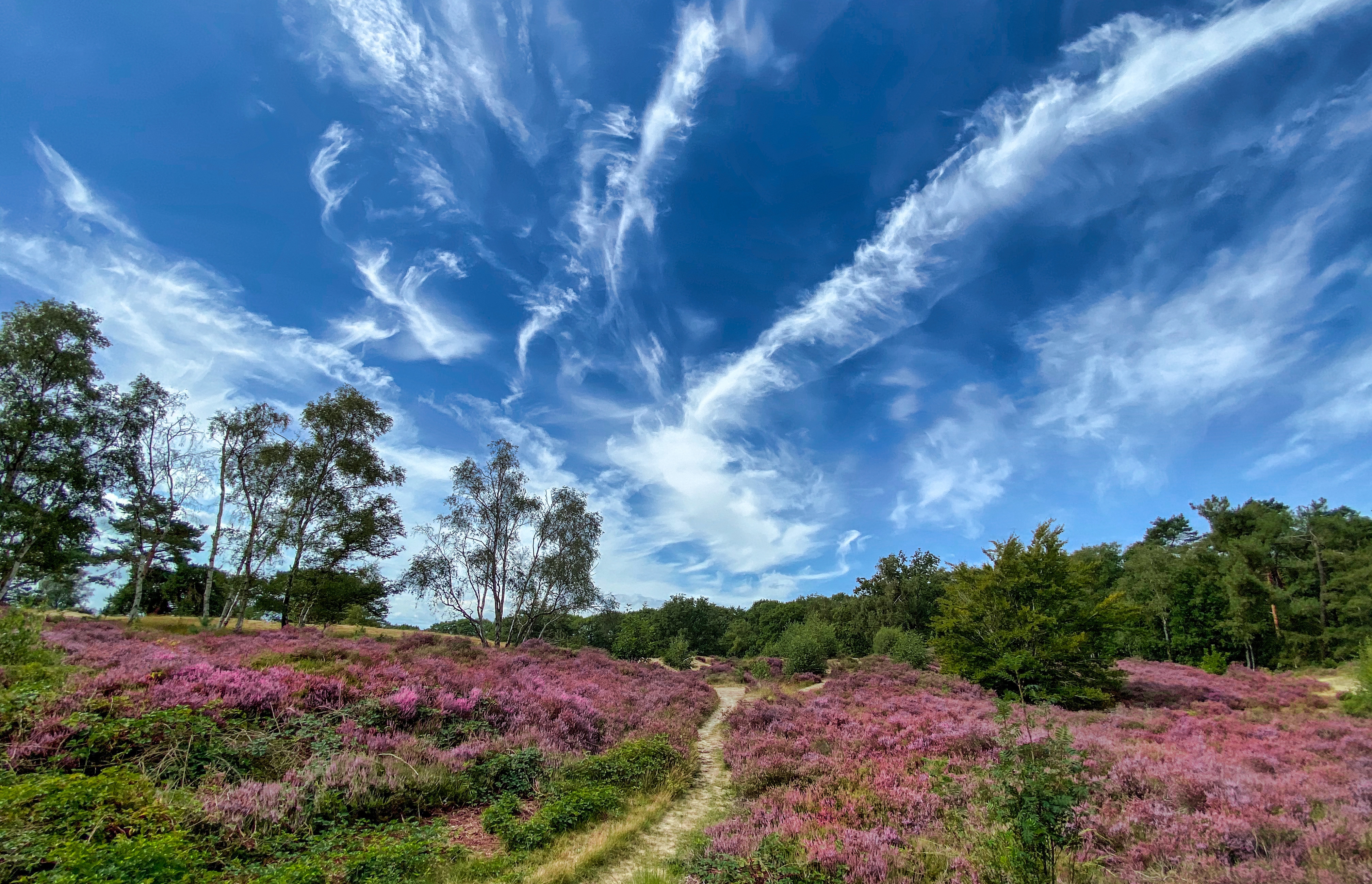 Wallpapers clouds lavender path on the desktop