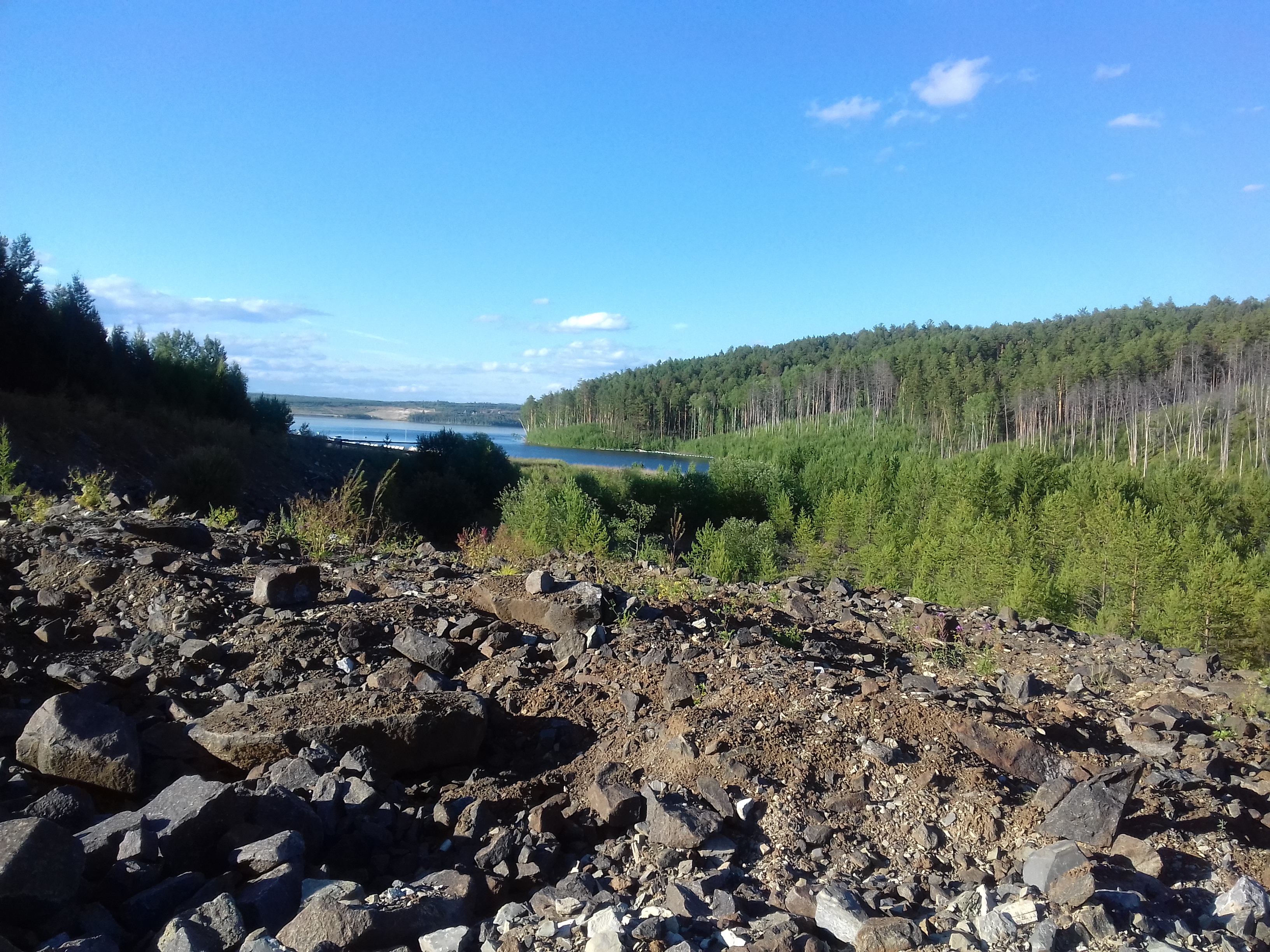 Free photo A river in the taiga in the middle of the forest