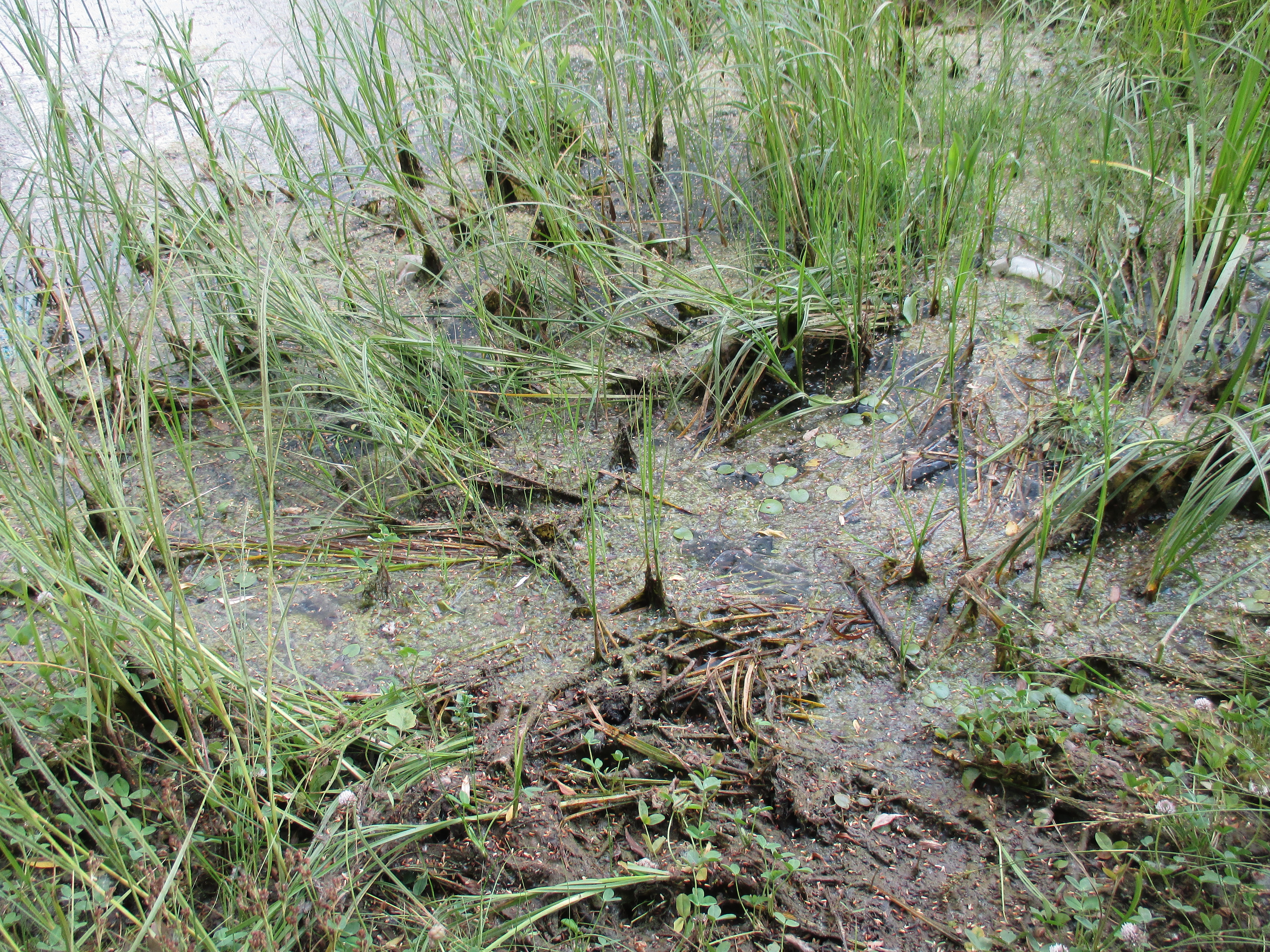 Бесплатное фото Красивый берег 666