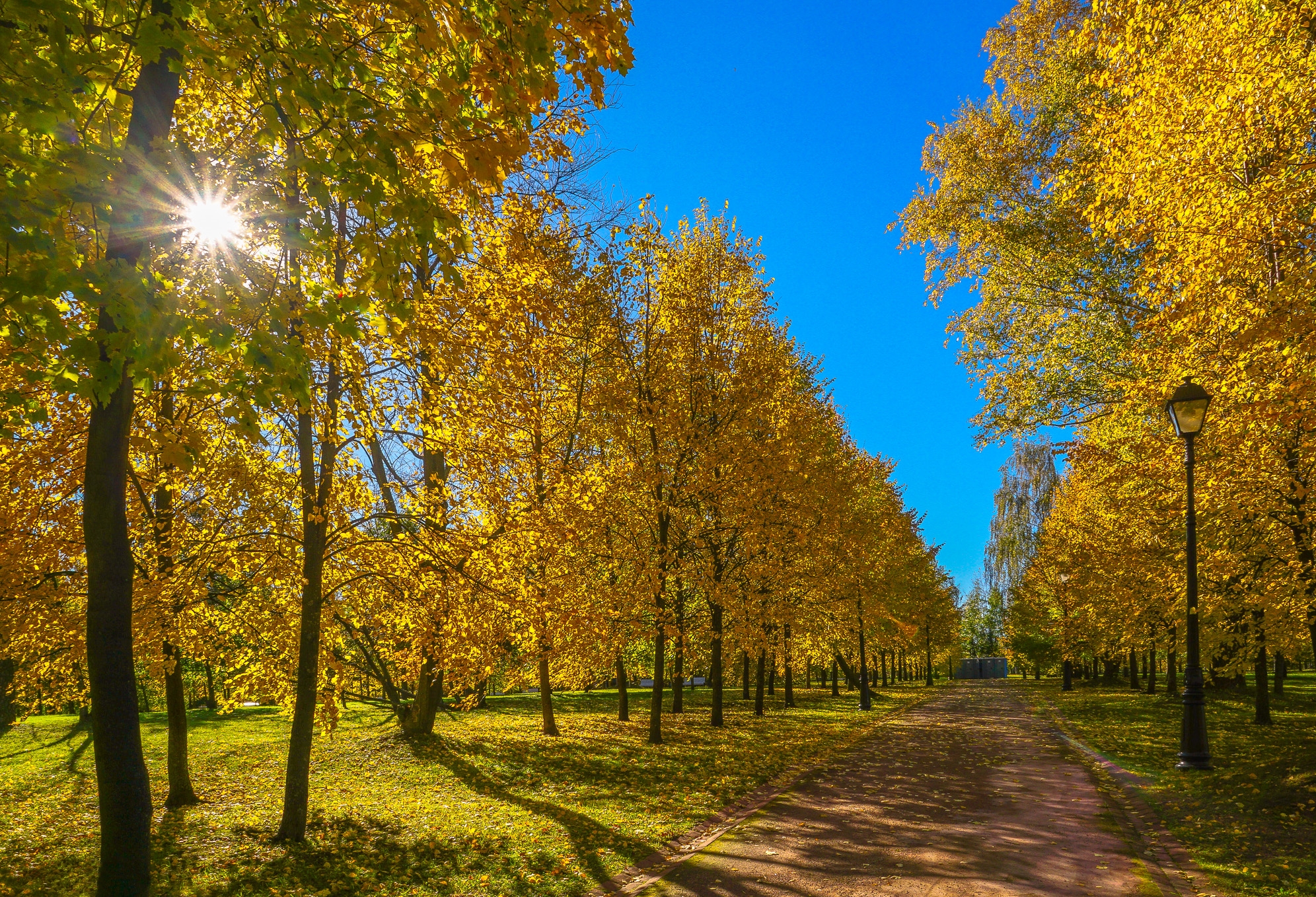 Wallpapers Russia landscape October in summer on the desktop