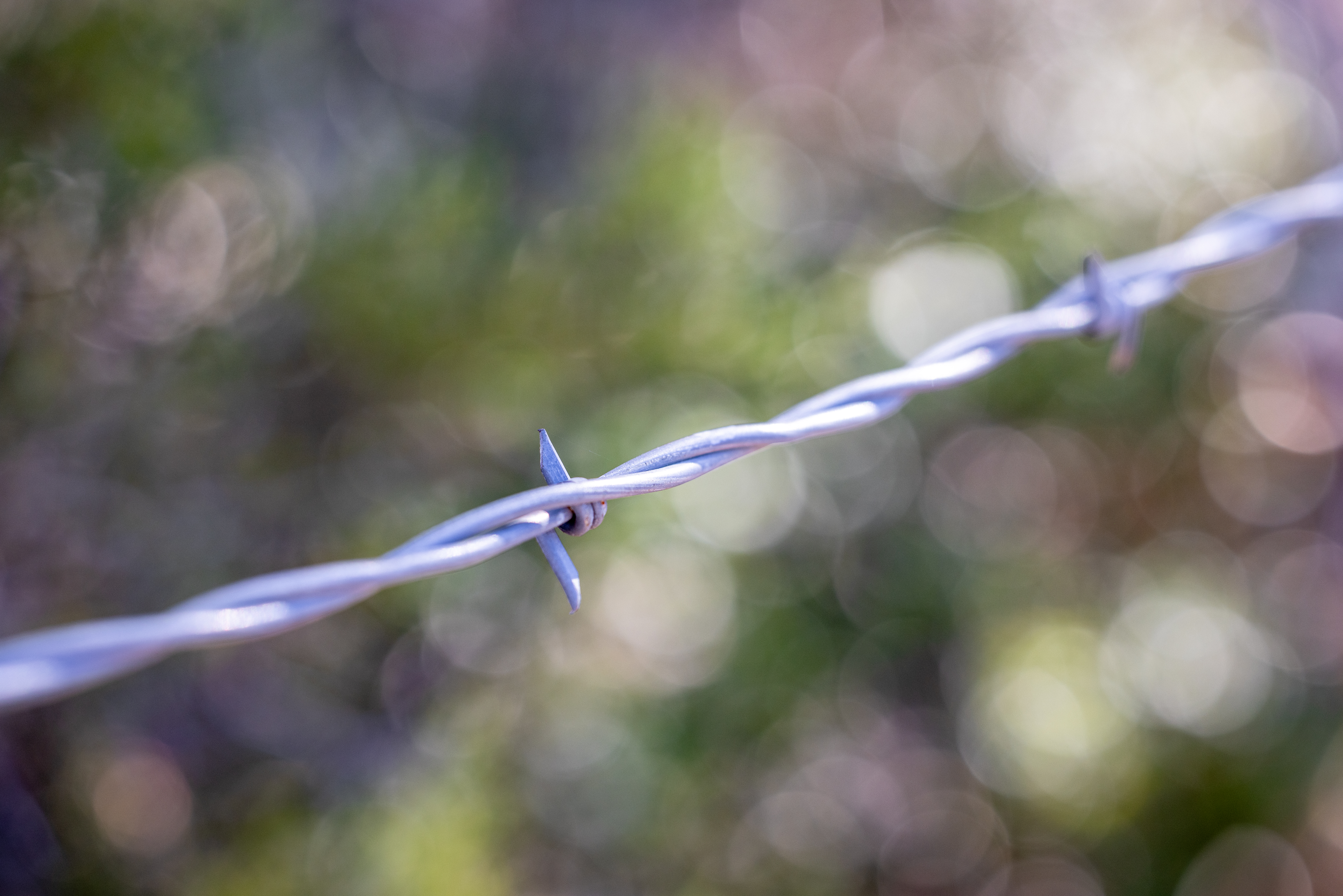 Wallpapers barbed wire background on the desktop