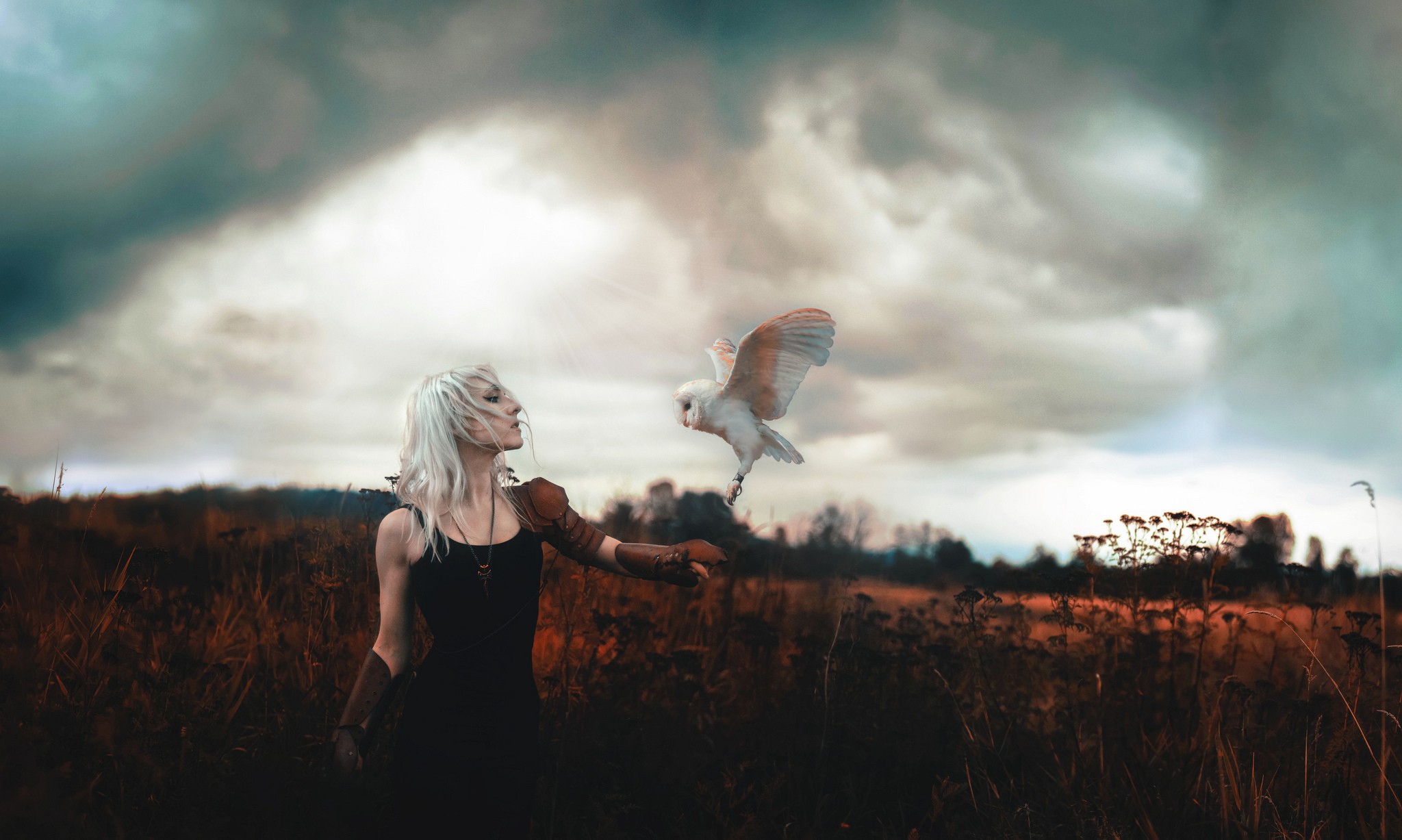 Бесплатное фото Фэнтези-портрет: Женщина и сова