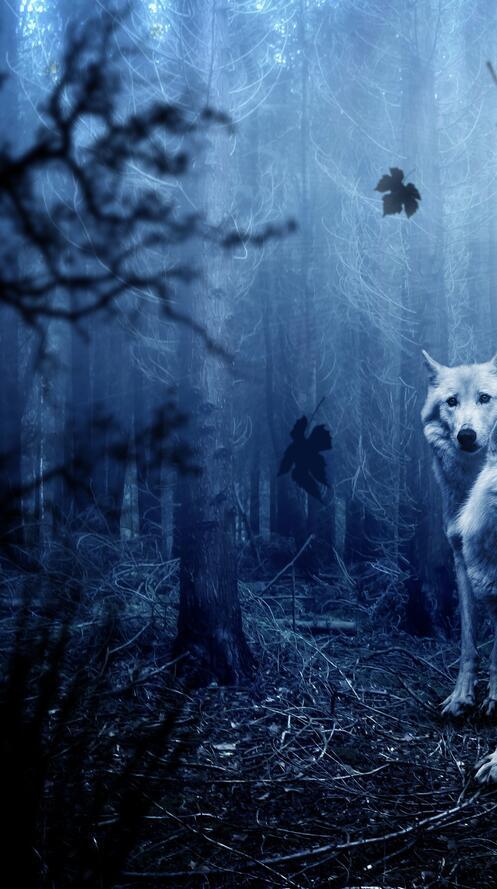 Обои лес деревья хищники волки на рабочий стол