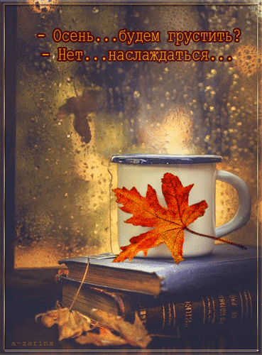 主题为雨水 窗口 茶的明信片免费下载