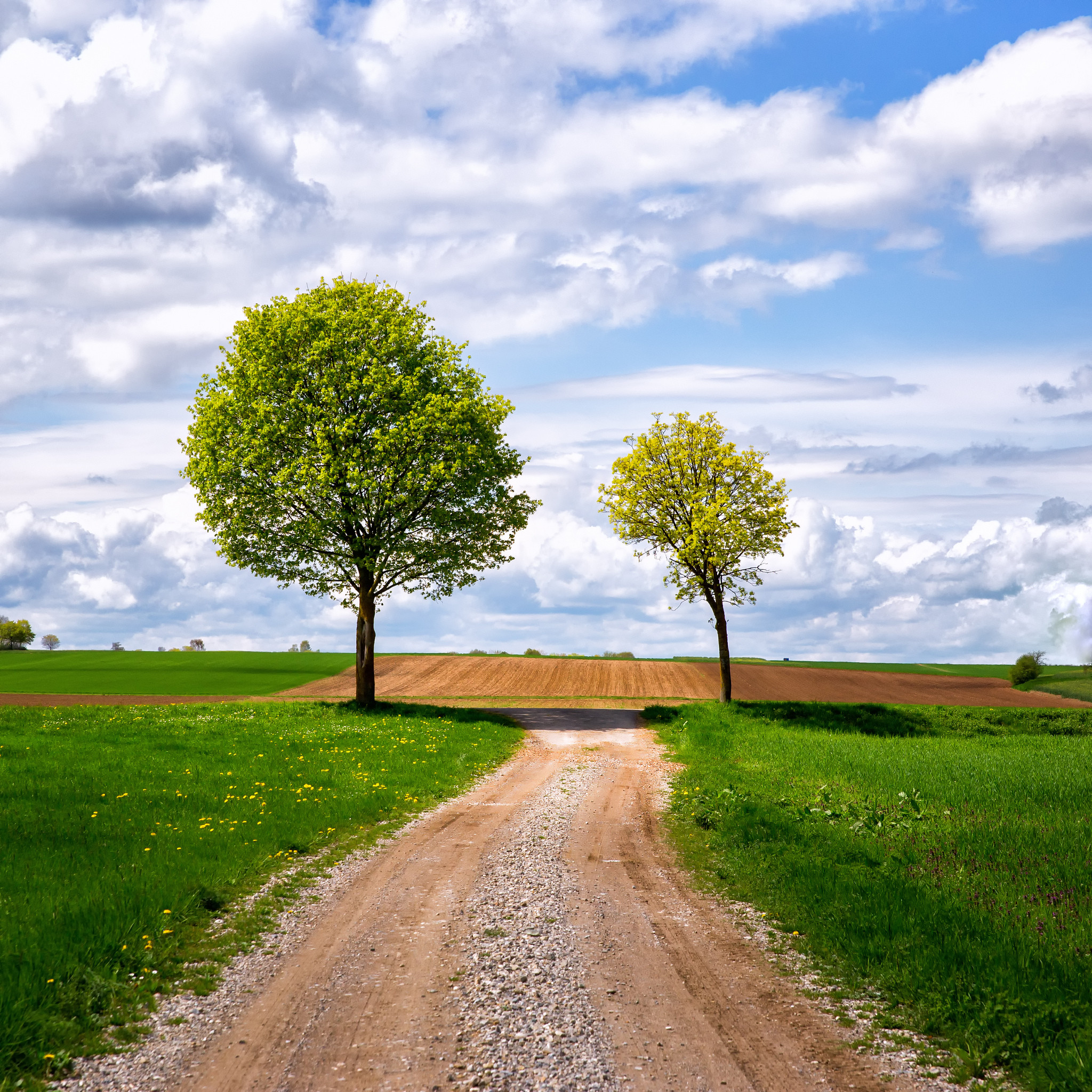 Wallpapers village road road landscape on the desktop