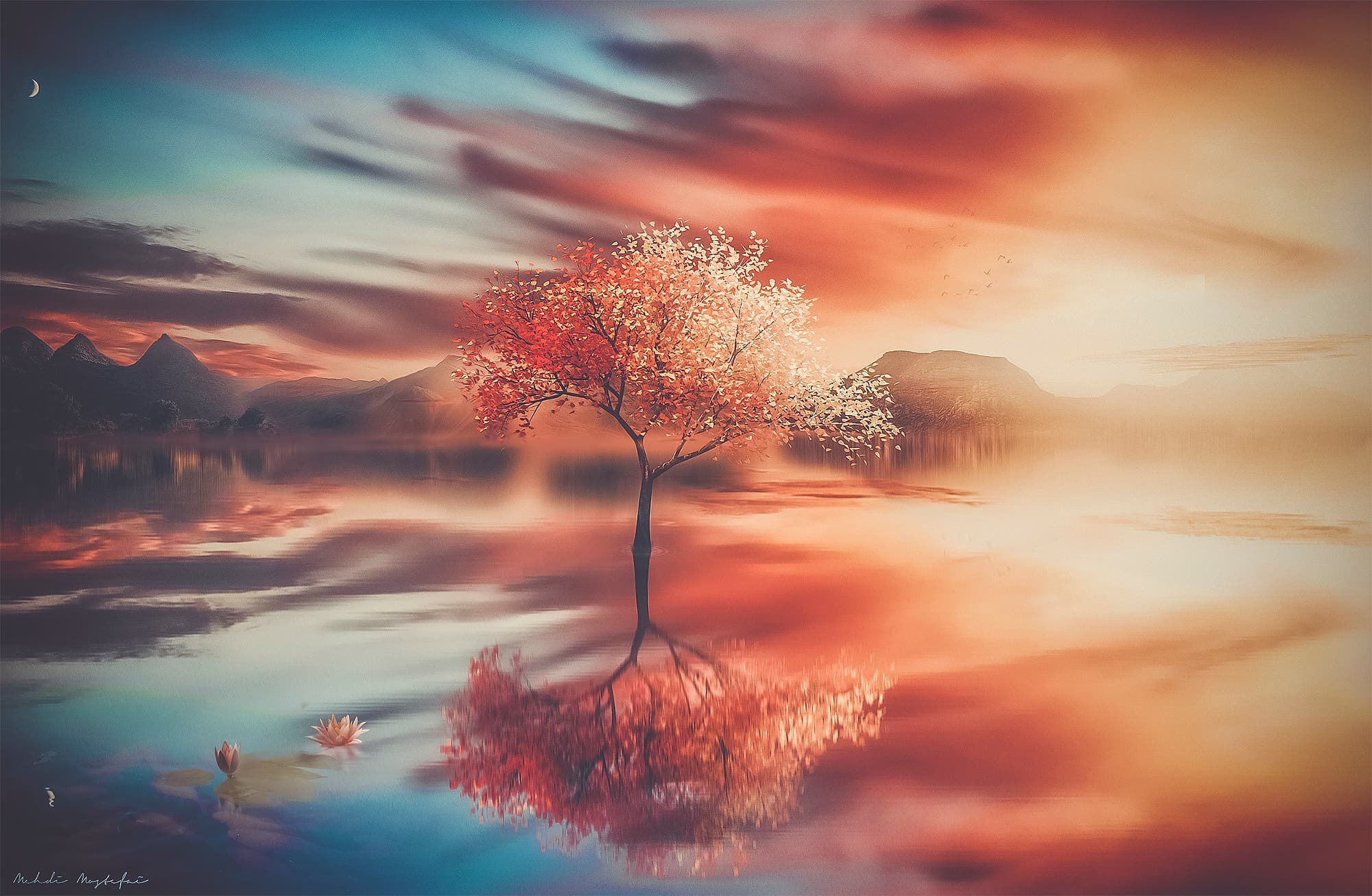 Wallpapers trees fantasy work of art on the desktop