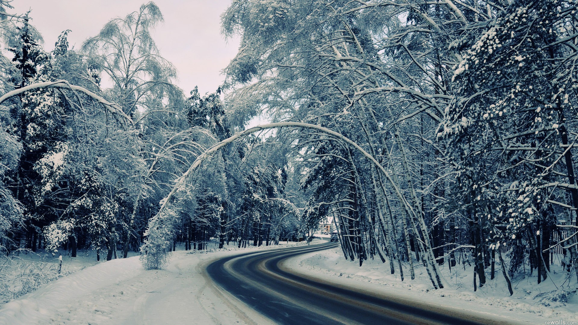 Wallpapers snow atmospheric phenomenon frost on the desktop