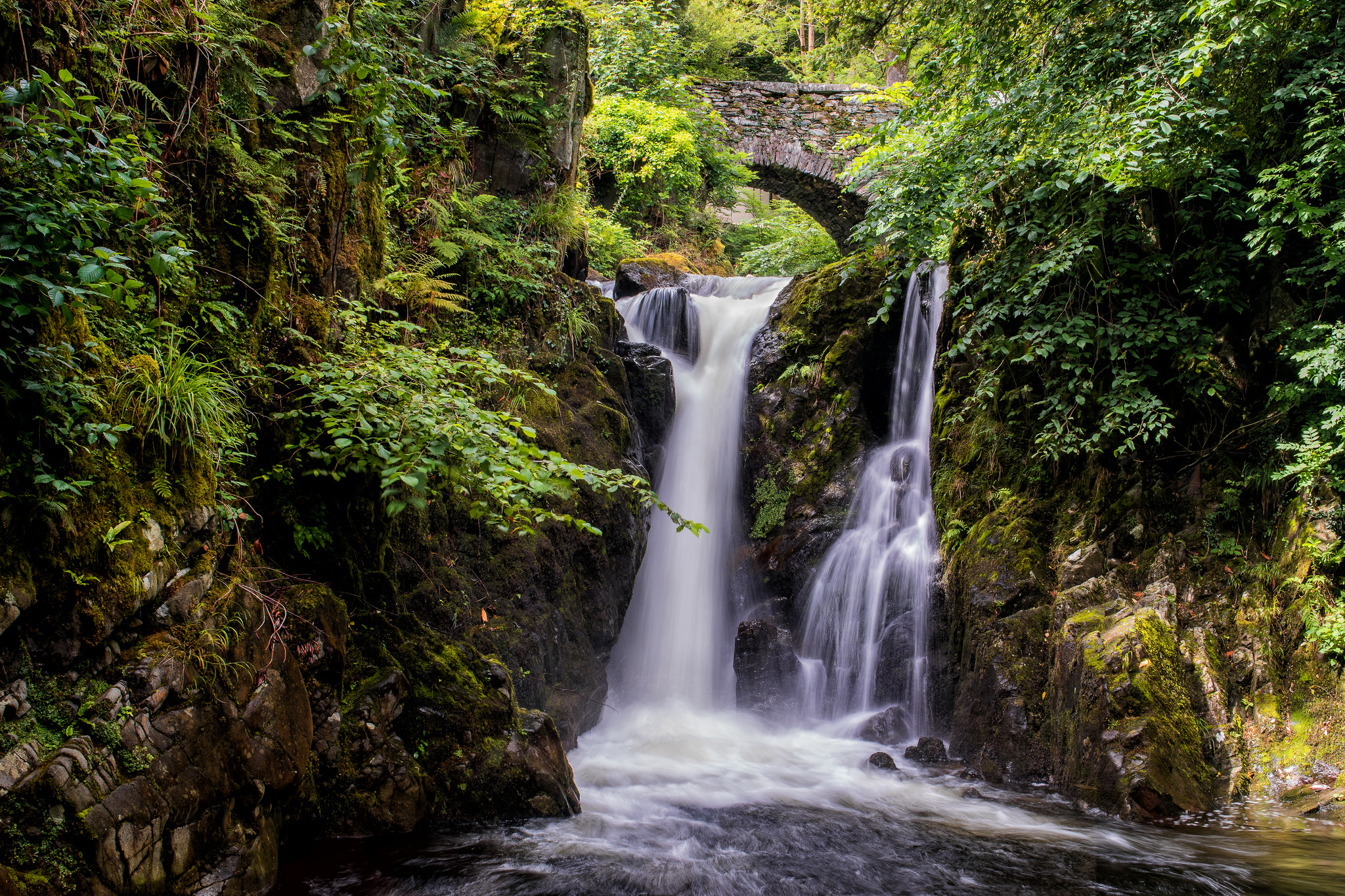 Free photo Arched bridge and waterfall in the forest