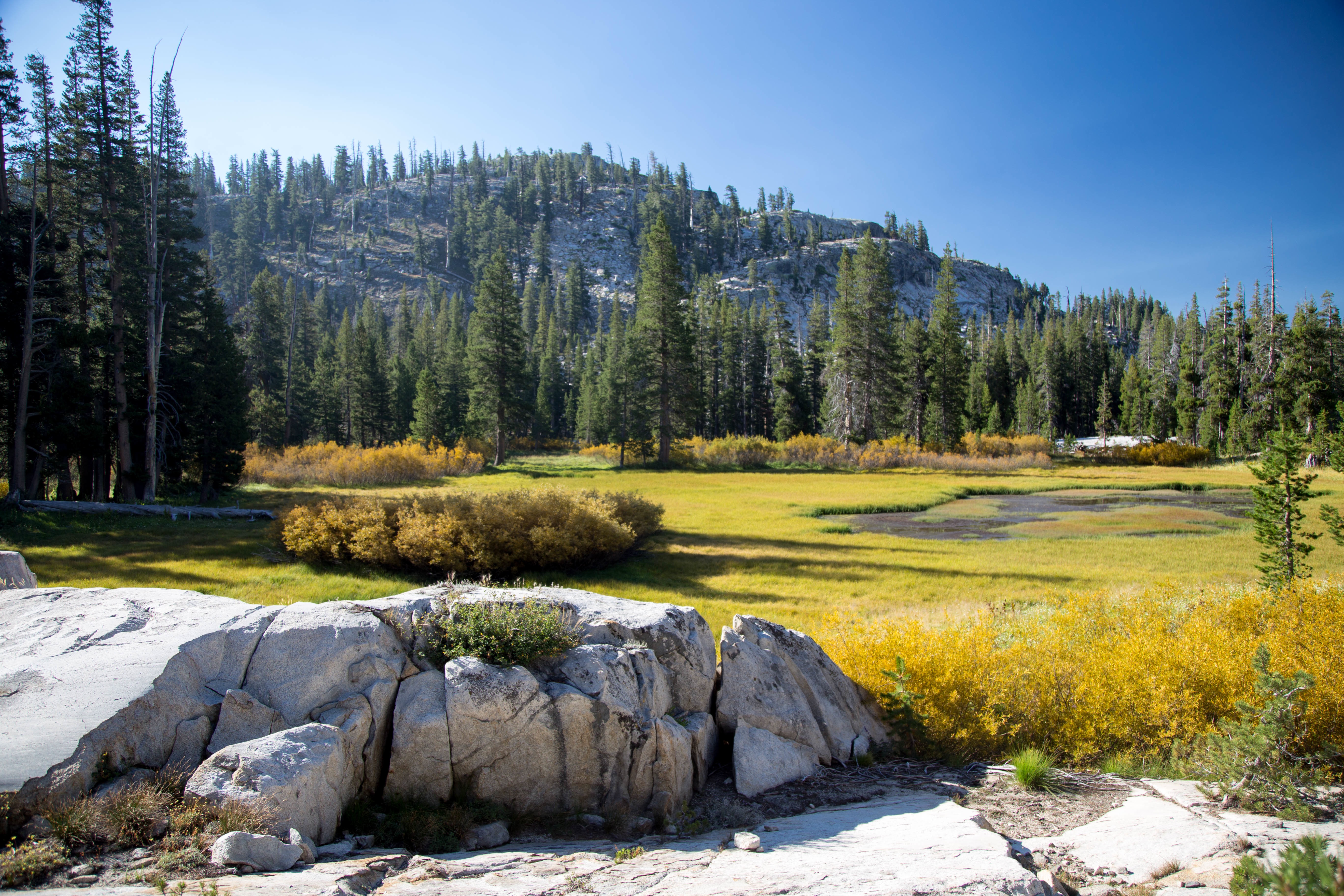 Free photo Swampy wilderness near the mountains