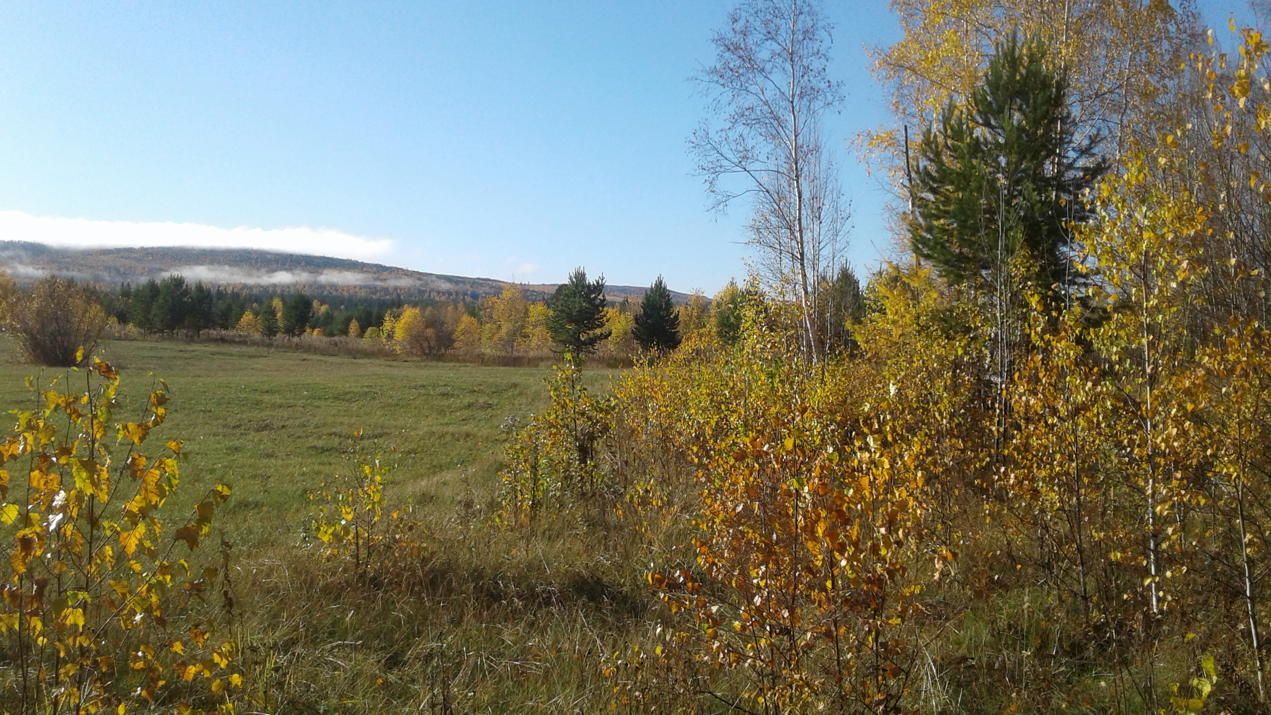 Free photo Nature of Siberia with fields and forests