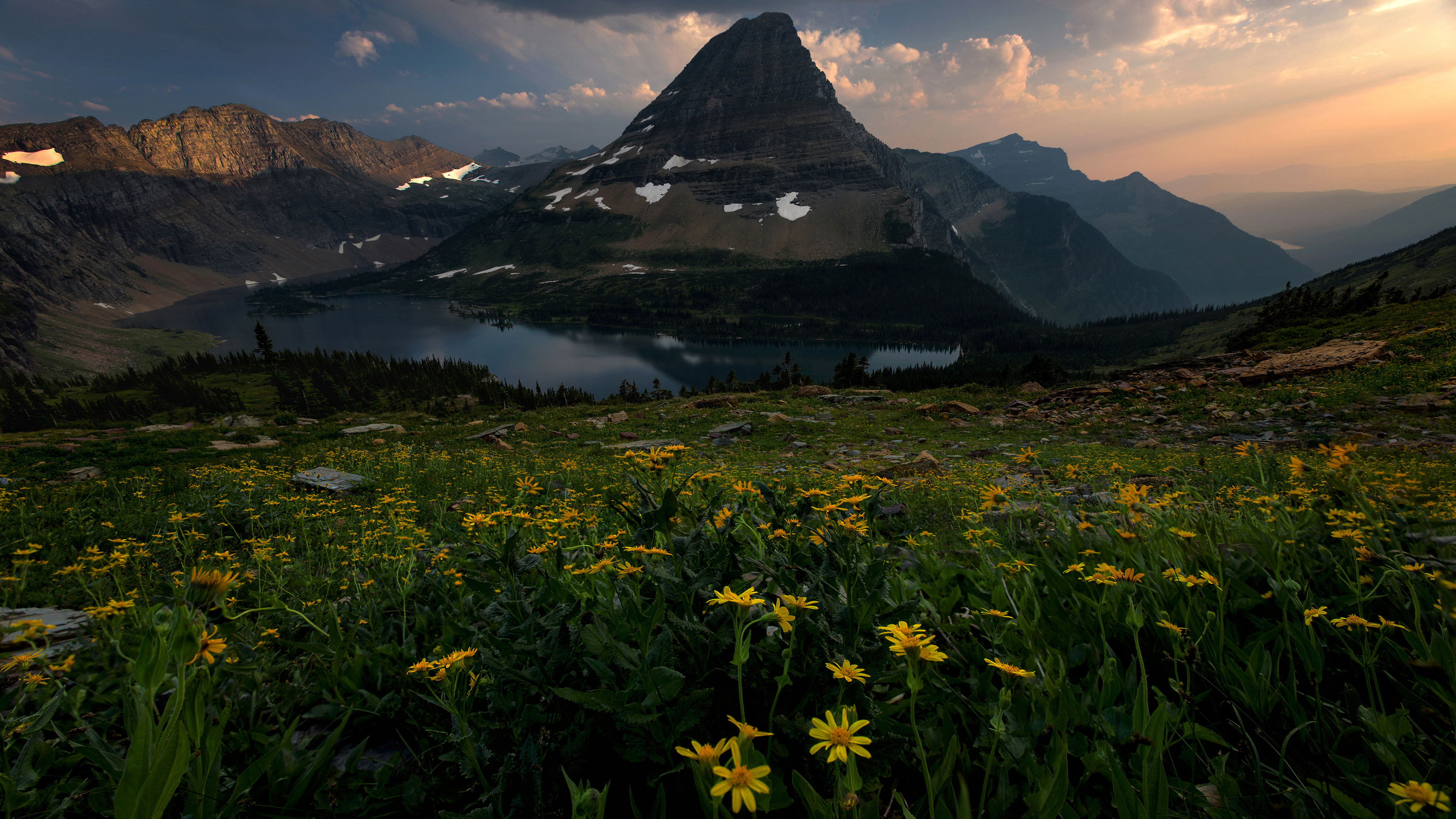 Free photo Flowers and mountains