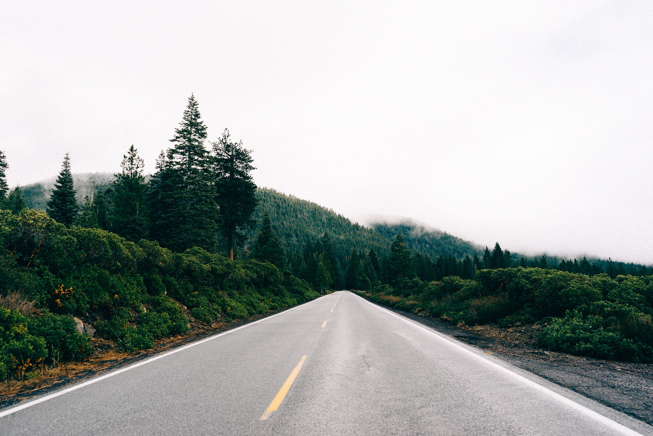 Free photo A road going through a wooded area