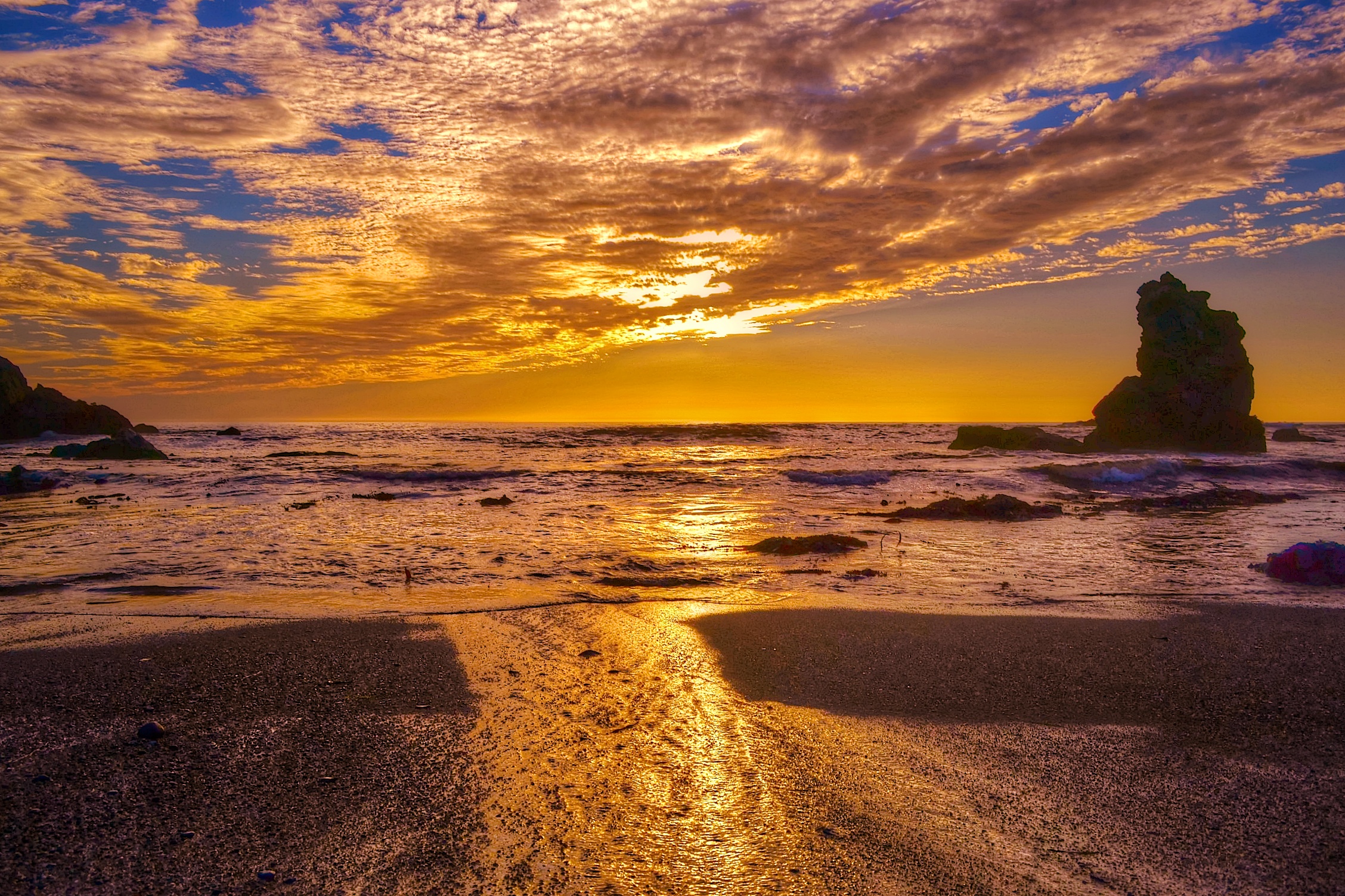 Free photo Rocky shore in California