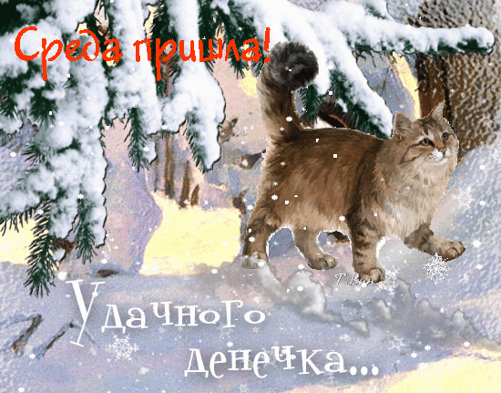 主题为环境 雪 冬季的明信片免费下载