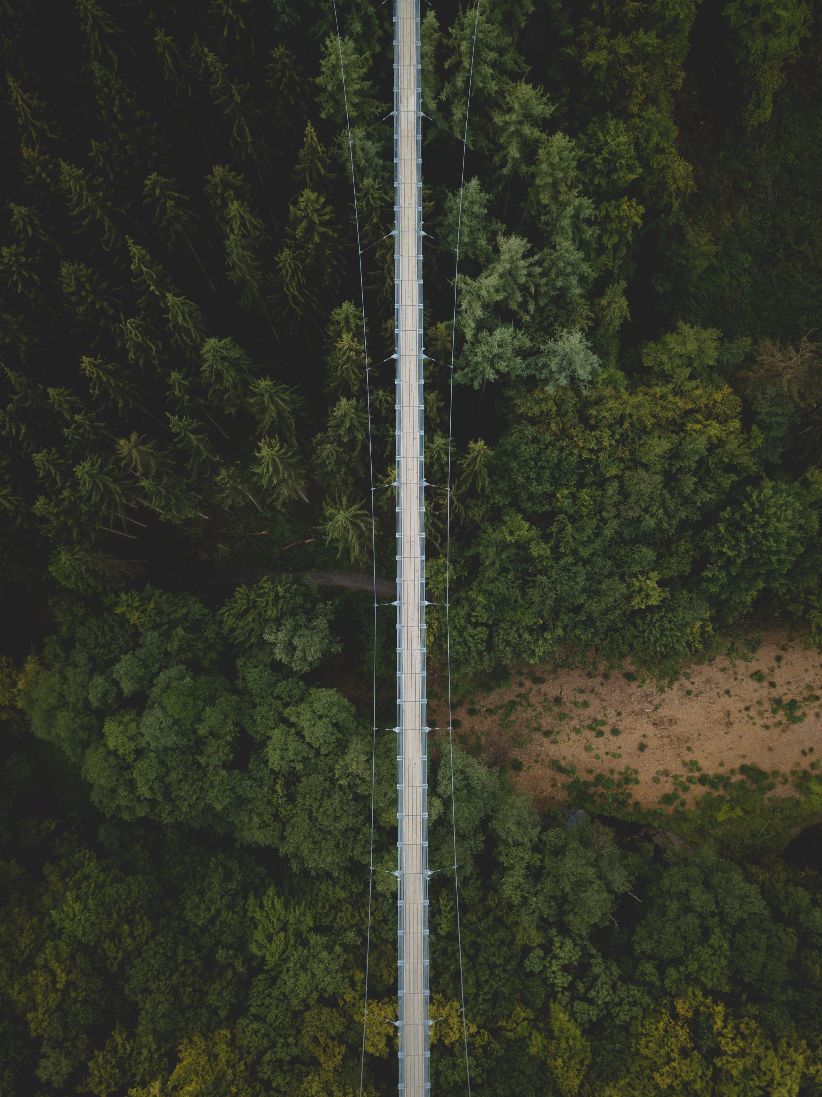 Wallpapers nature Germany trees on the desktop