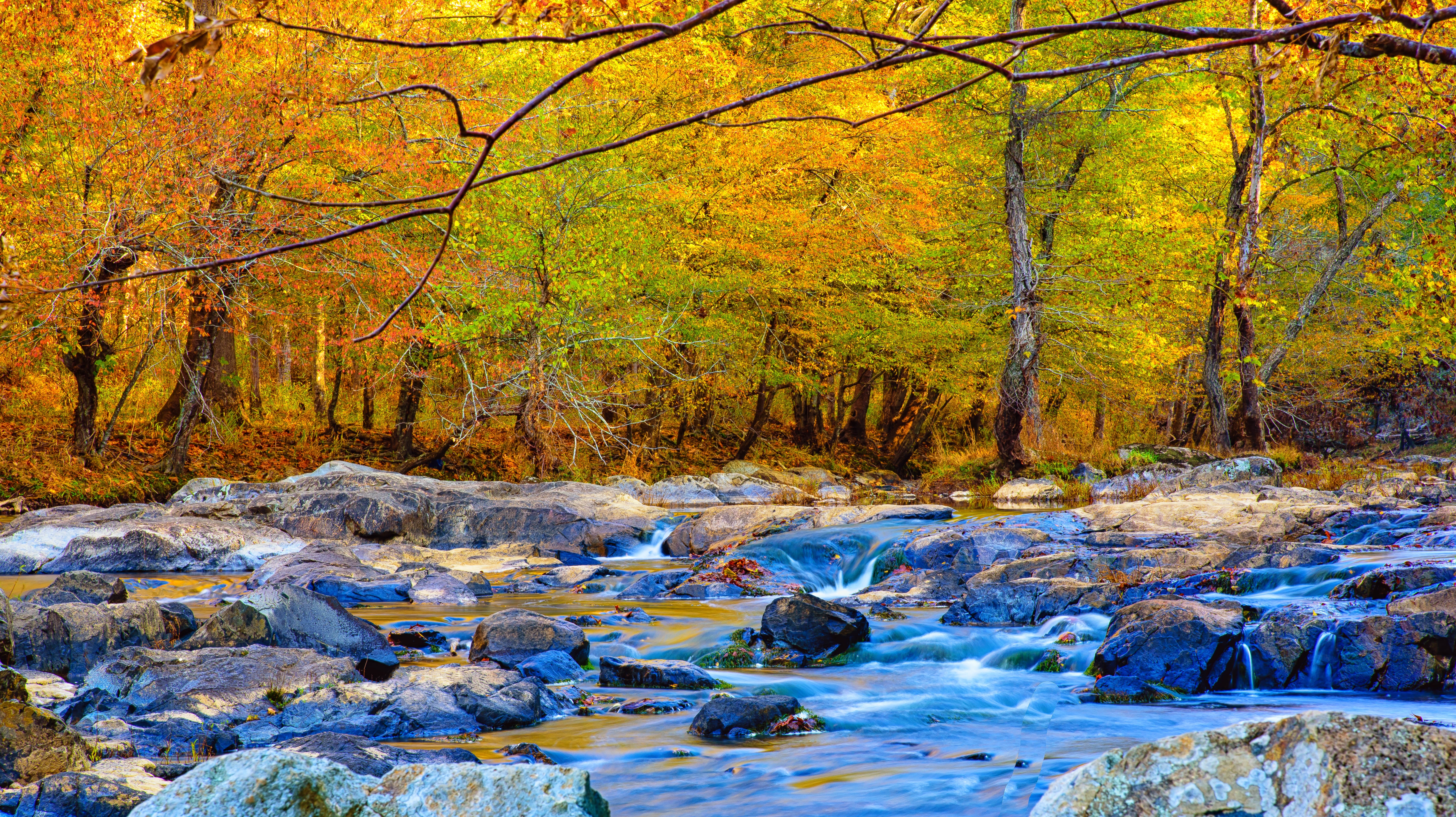 Обои Eno River State Park in Durham NC осень на рабочий стол