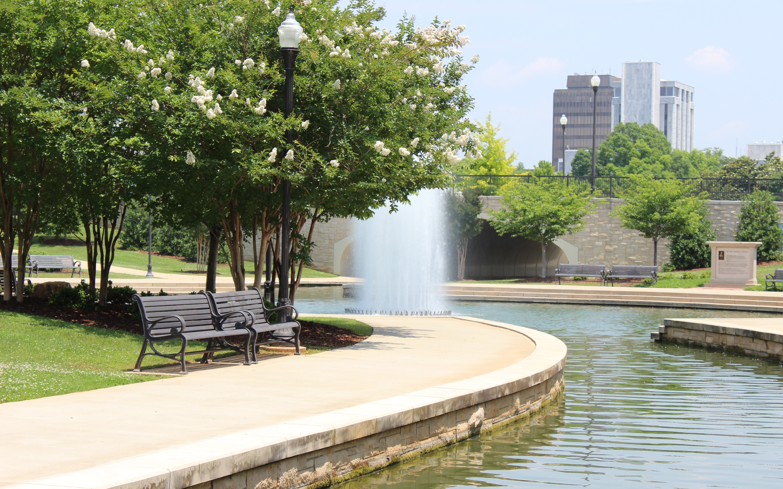 Бесплатное фото Городской оазис