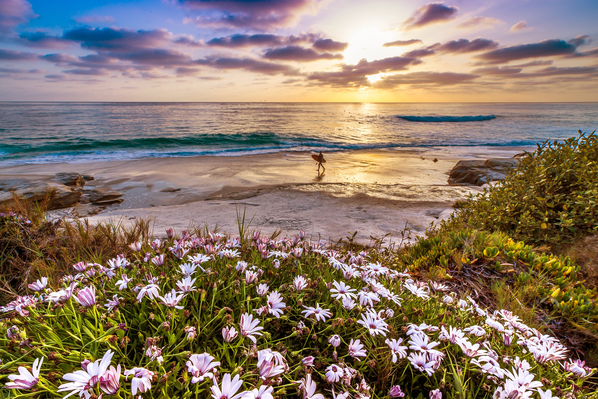 Free photo Beach Life in Southern California