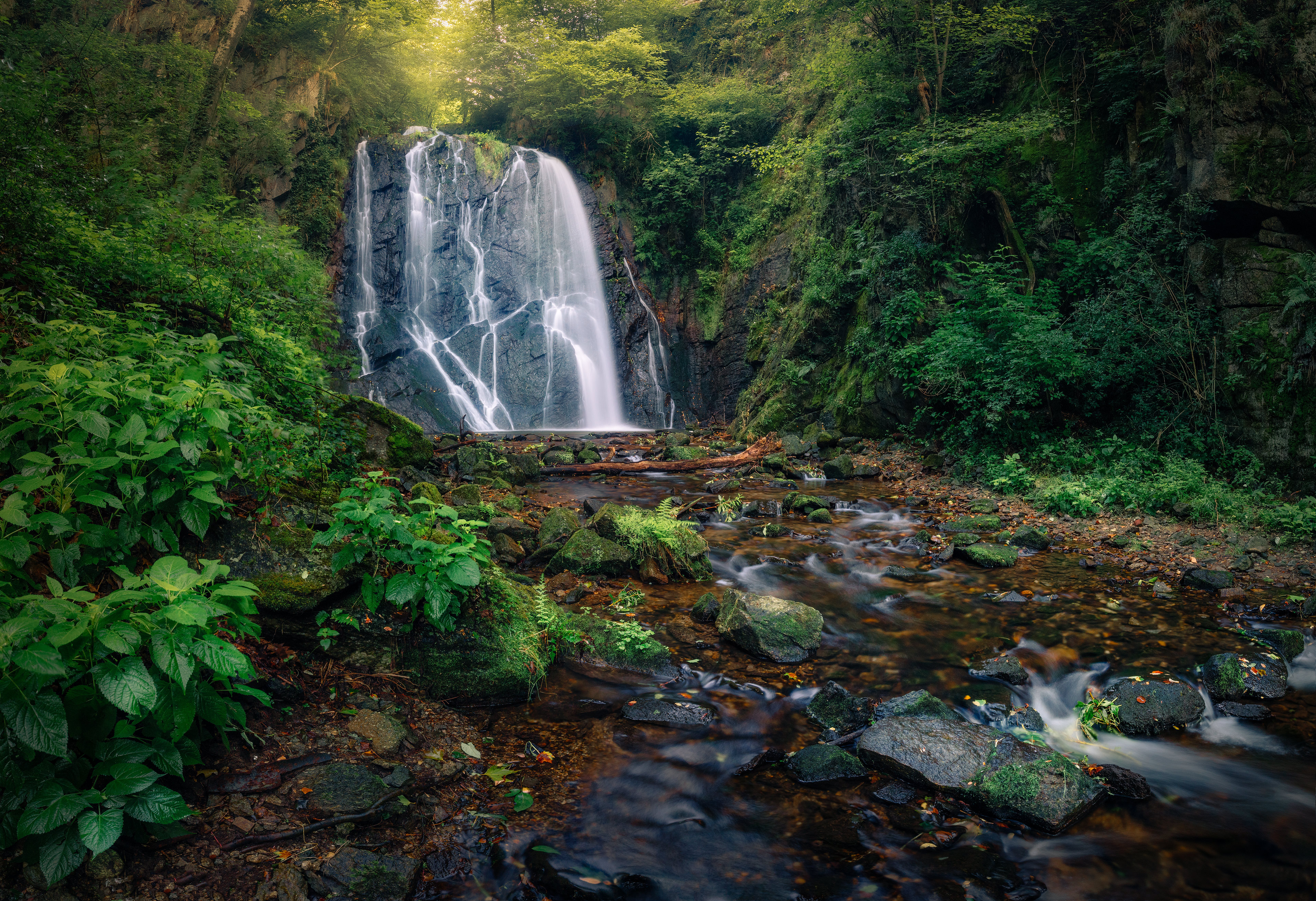 Wallpapers A hidden cascade on the border of Switzerland and Italy waterfall forest on the desktop