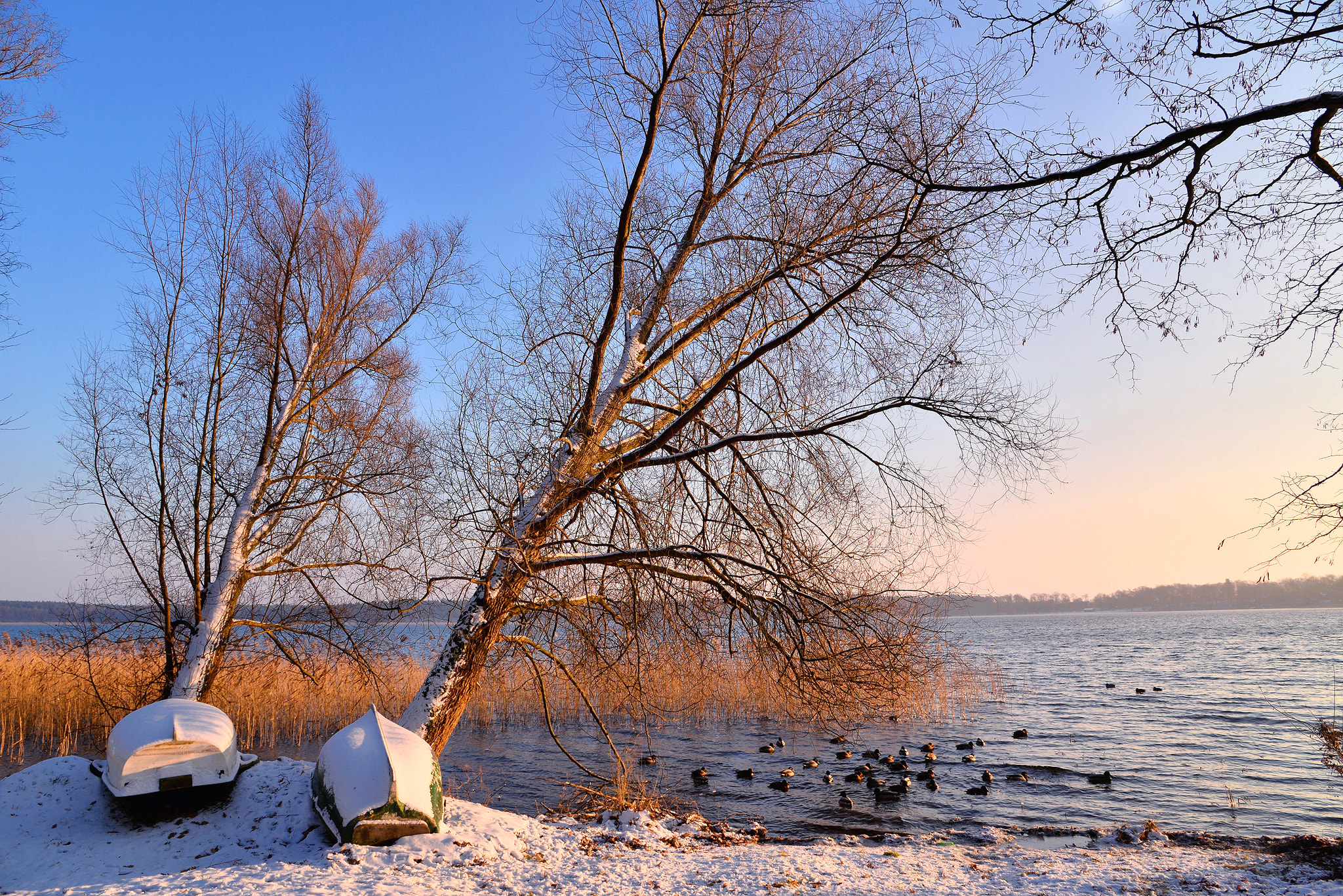 Wallpapers winter lake beach on the desktop