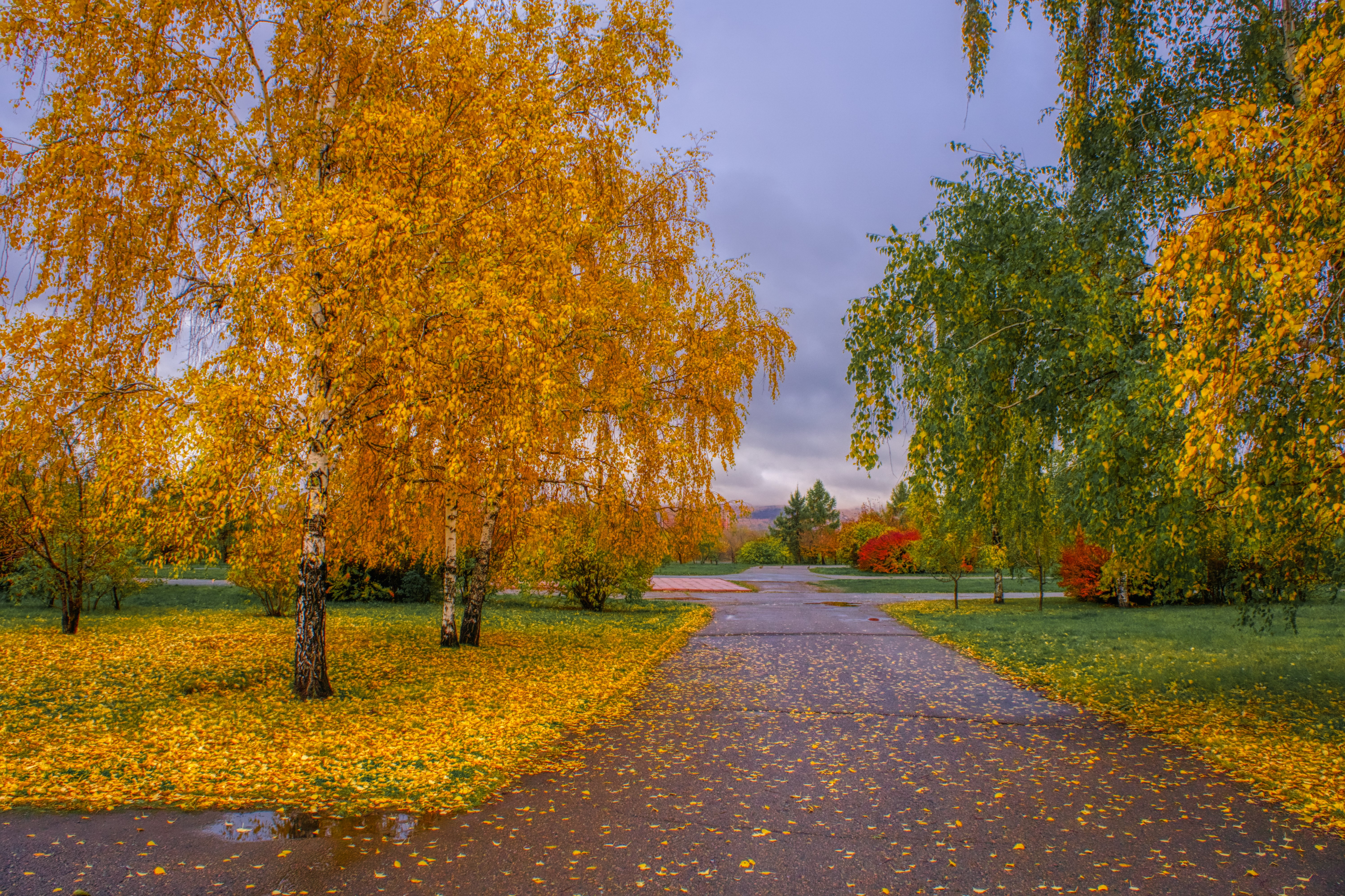 Free photo A walk in an autumn park