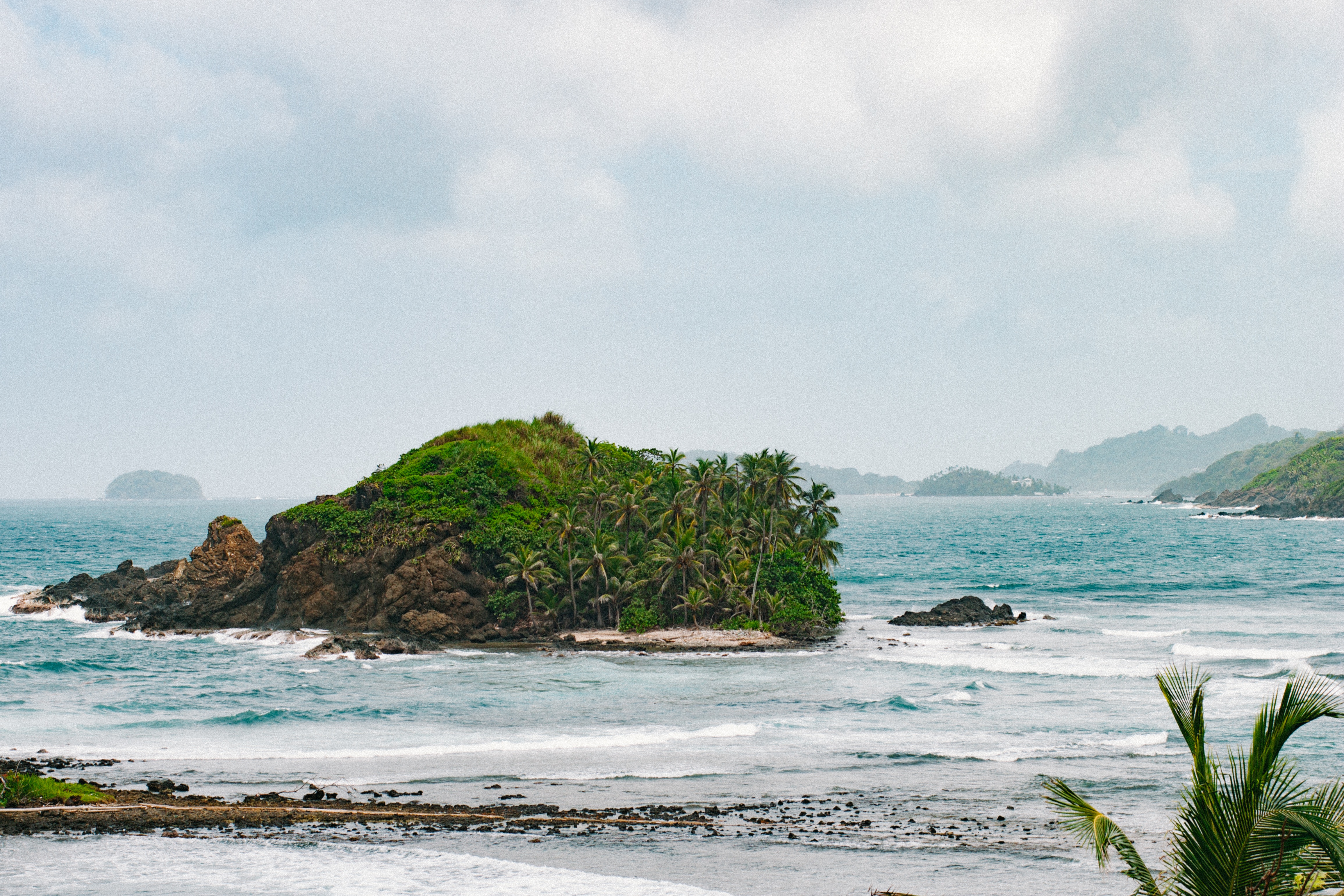 Free photo Palm trees on an island near a tropical beach