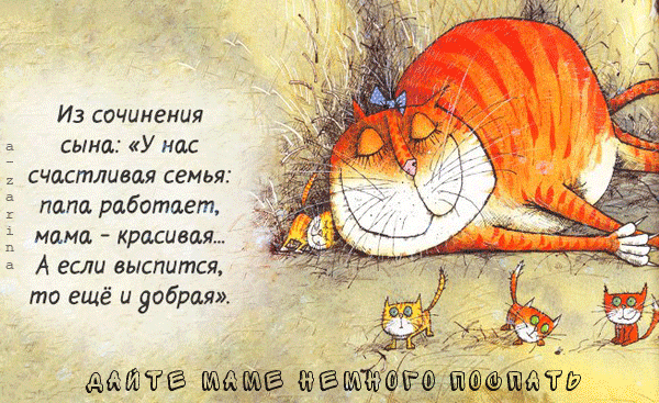 主题为猫 幽默感 谑的明信片免费下载