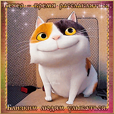 主题为猫咪 晚上 微笑的明信片免费下载