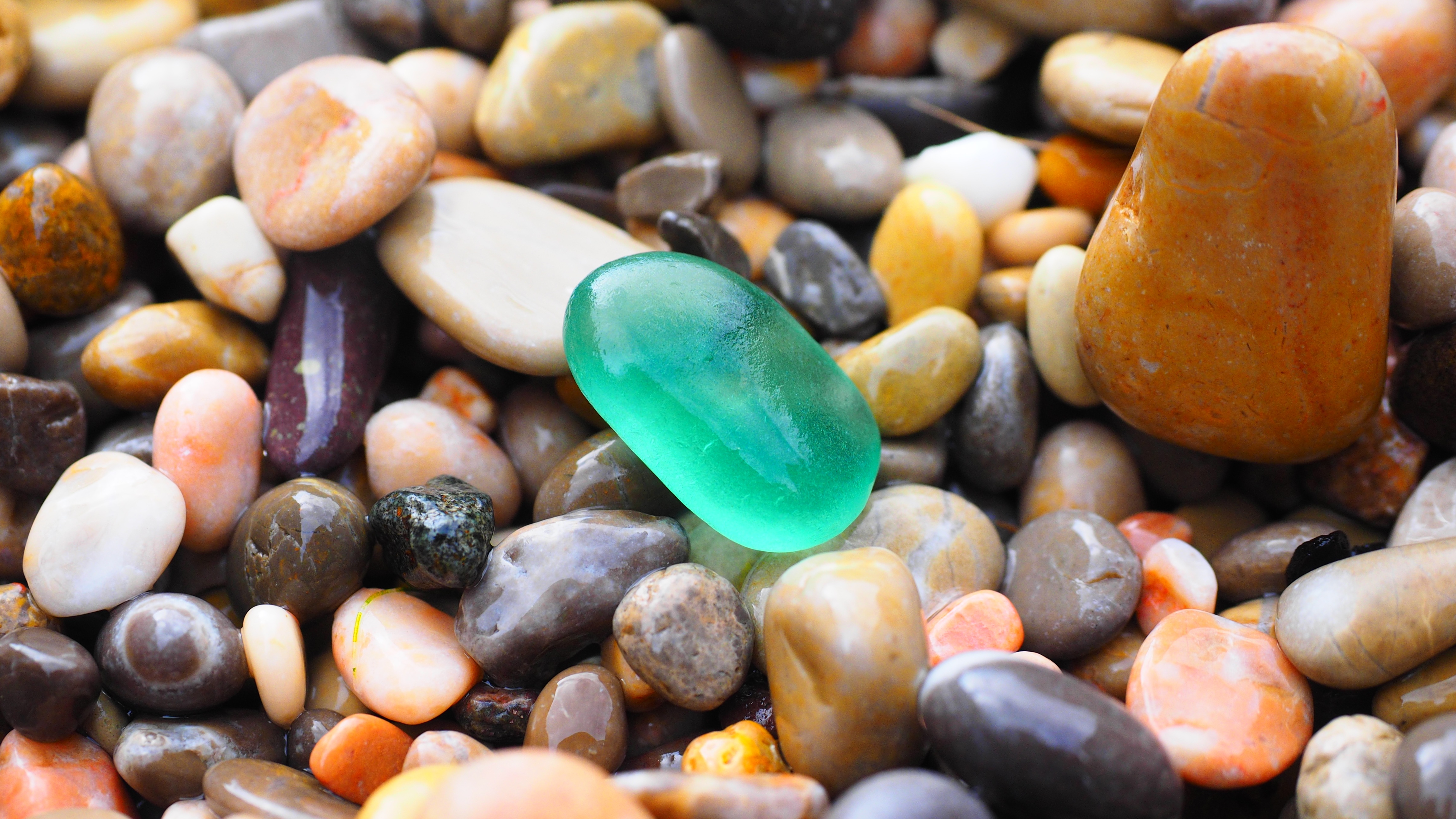 Free photo Wet little sea pebbles