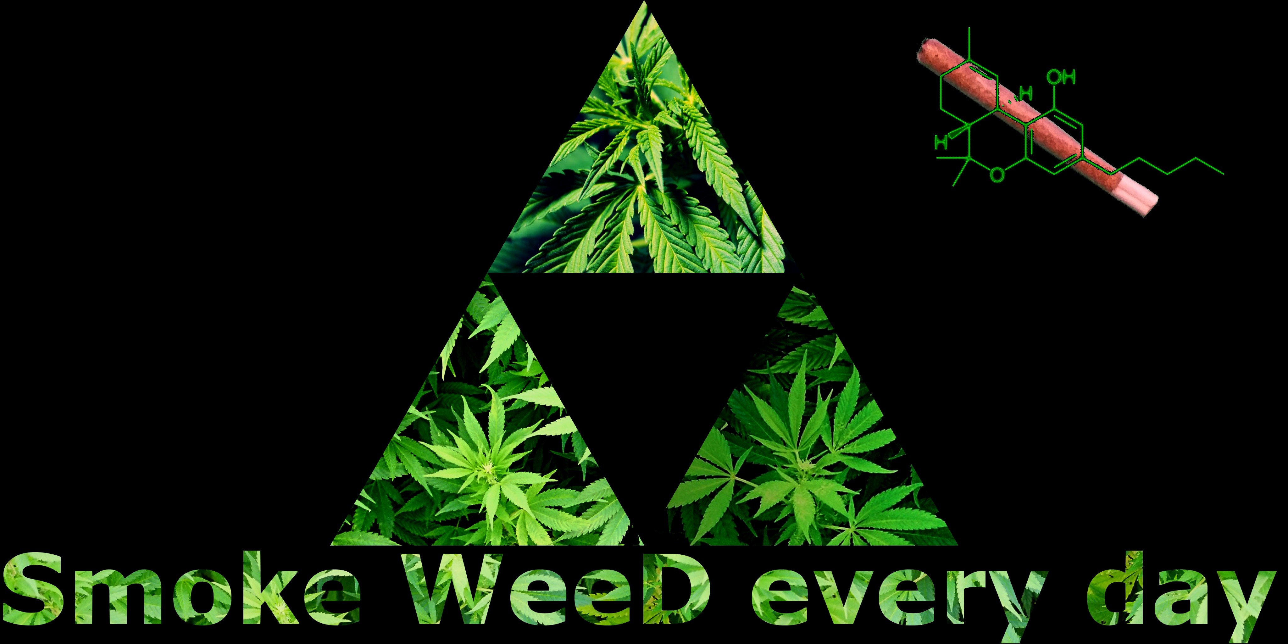 桌面上的壁纸绿化 三角形 圣诞树