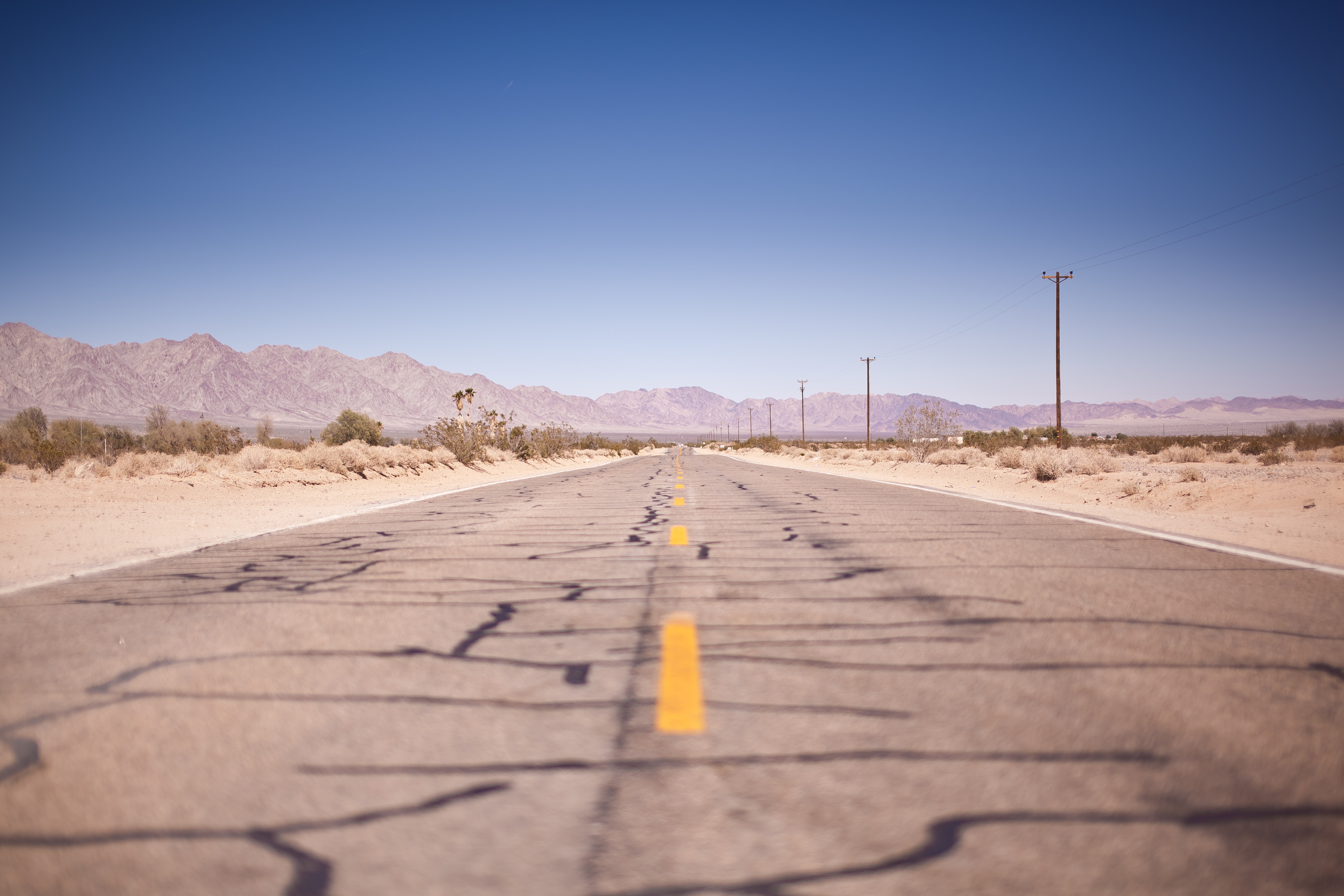 Free photo Cracked asphalt in the U.S.