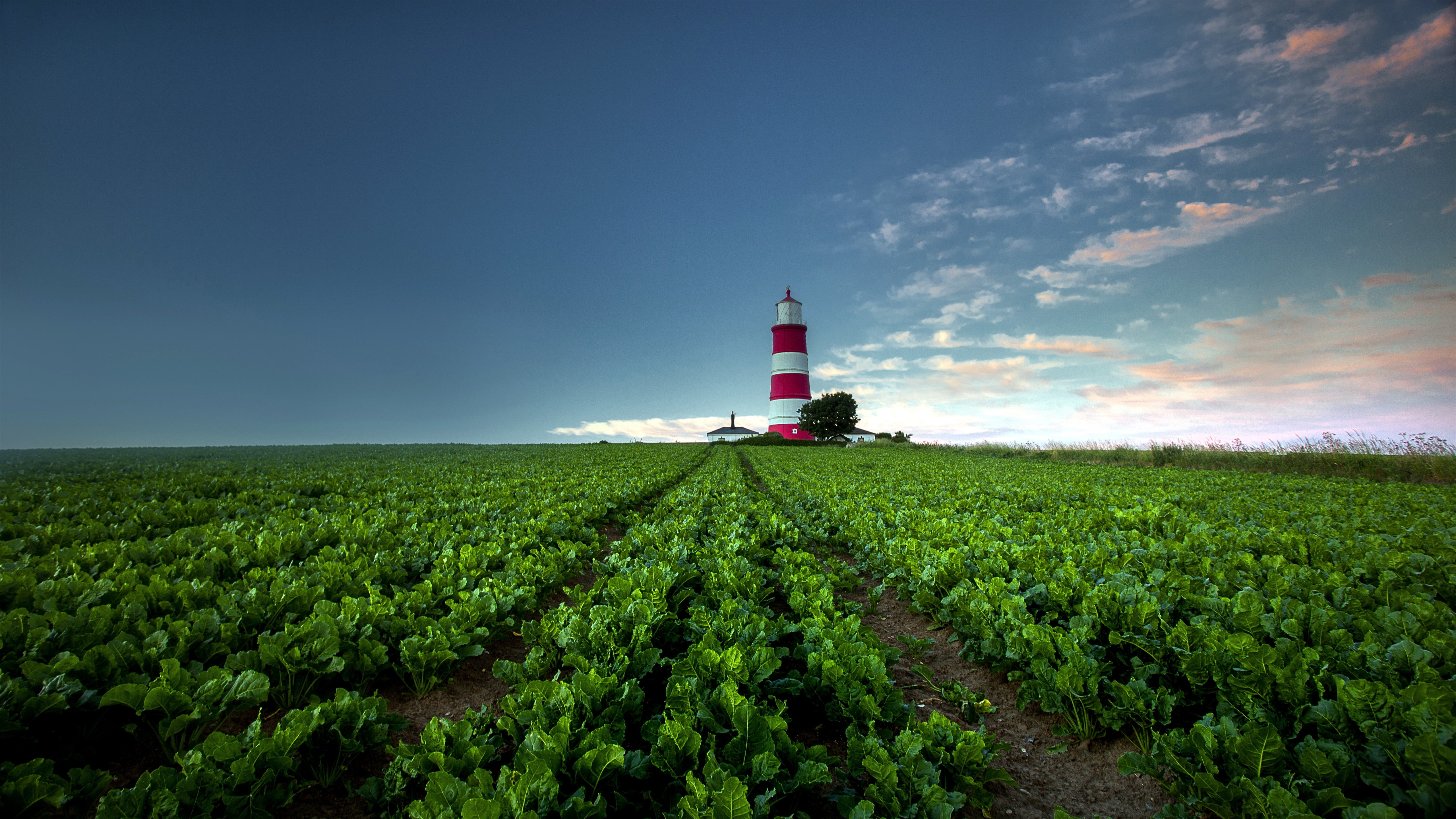 Free photo A striped lighthouse in a plowed field on the edge of the ocean