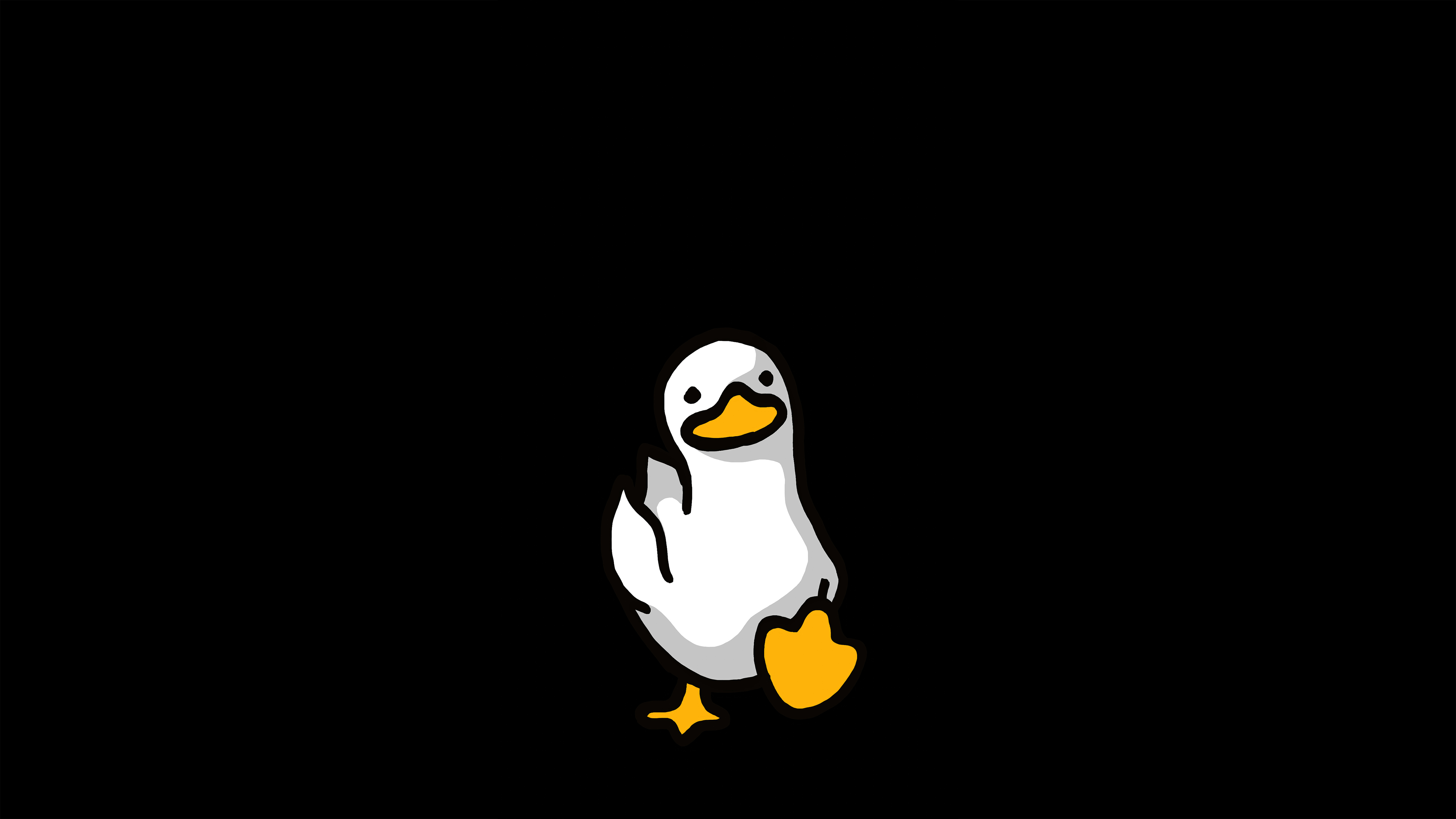 免费照片黑色背景上的鸭子图