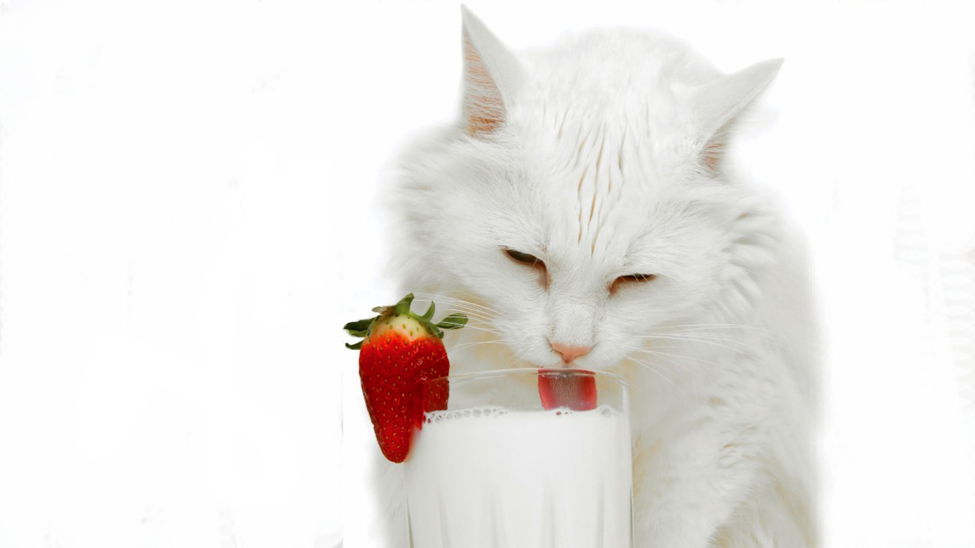 Wallpapers glass milk strawberry on the desktop