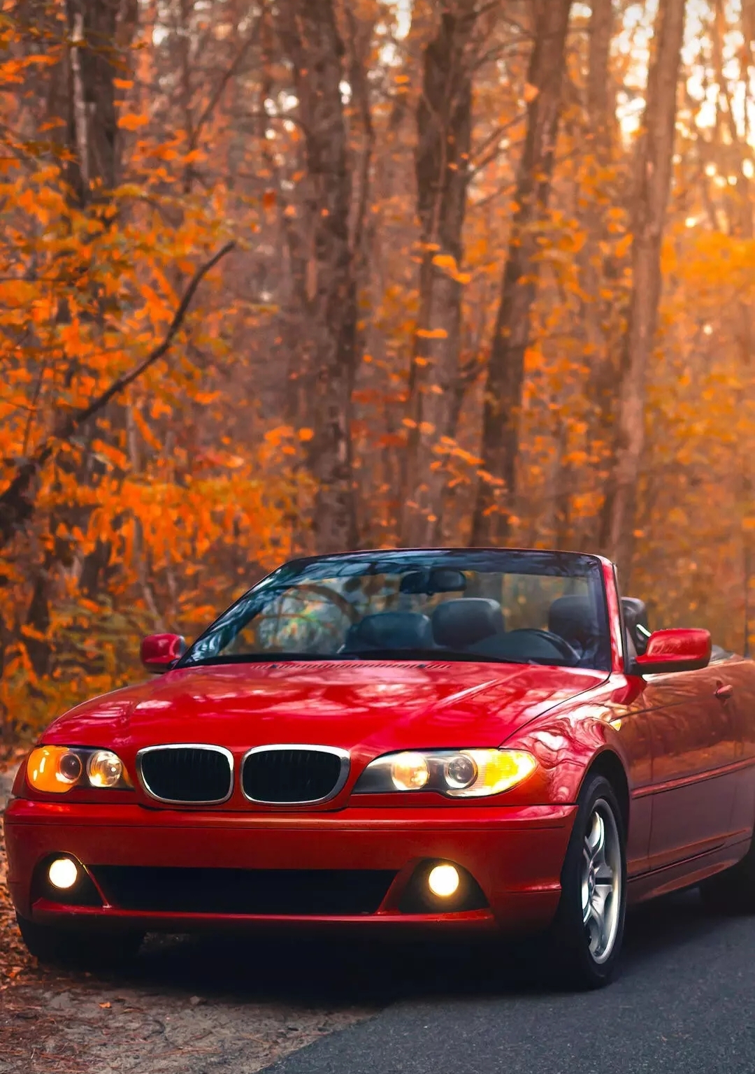 Золотая осень и алый автомобиль