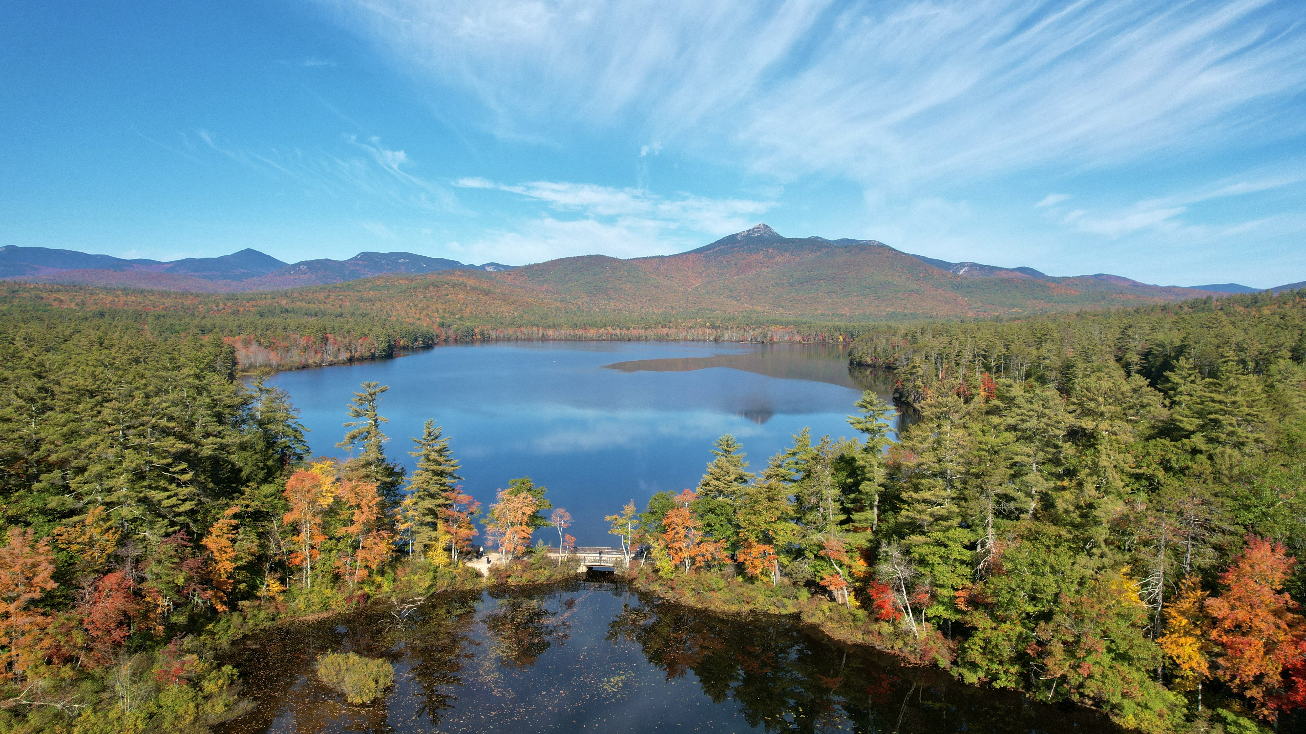 Free photo Lakes in the thick of the forest