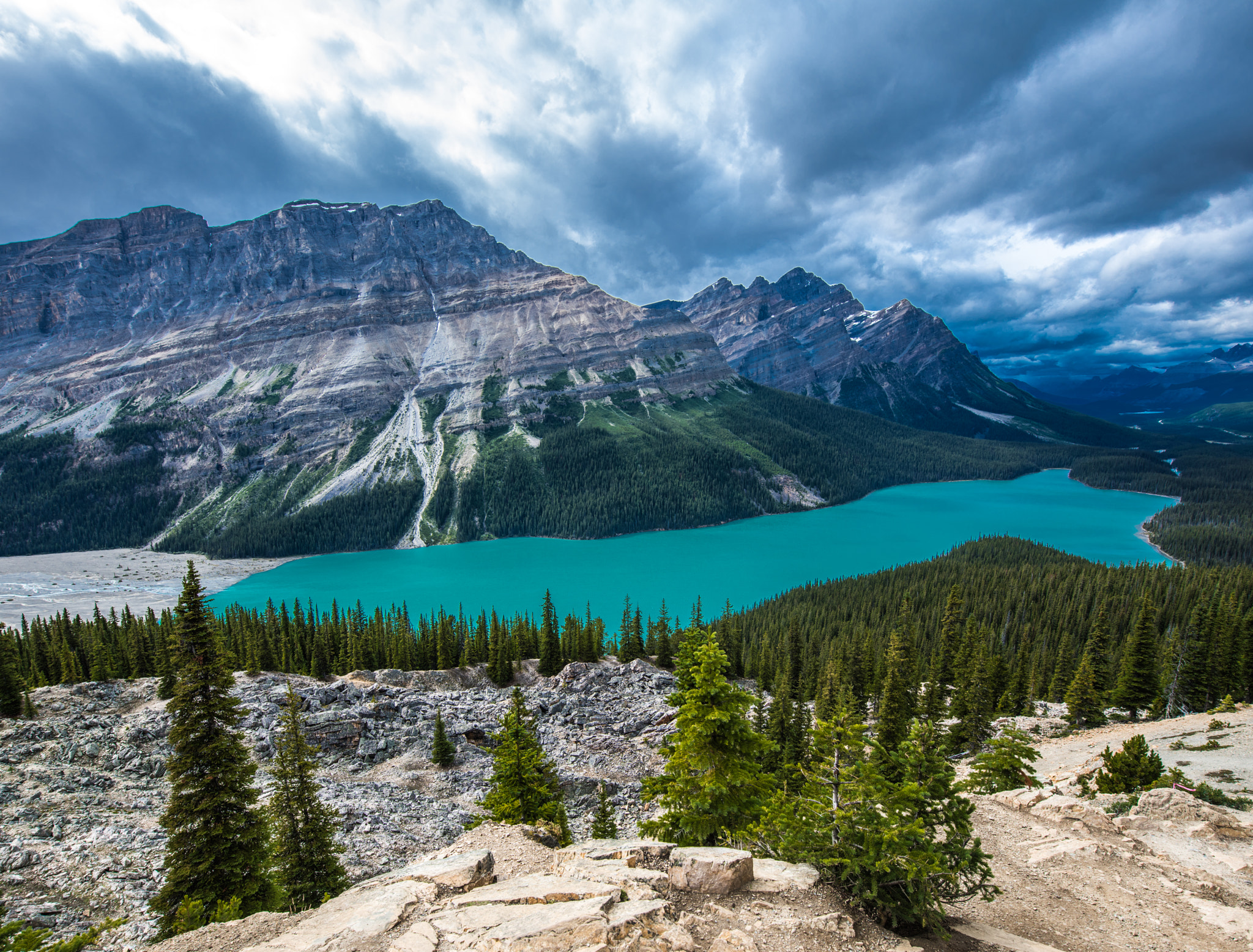 Обои горы Banff National Park лес на рабочий стол