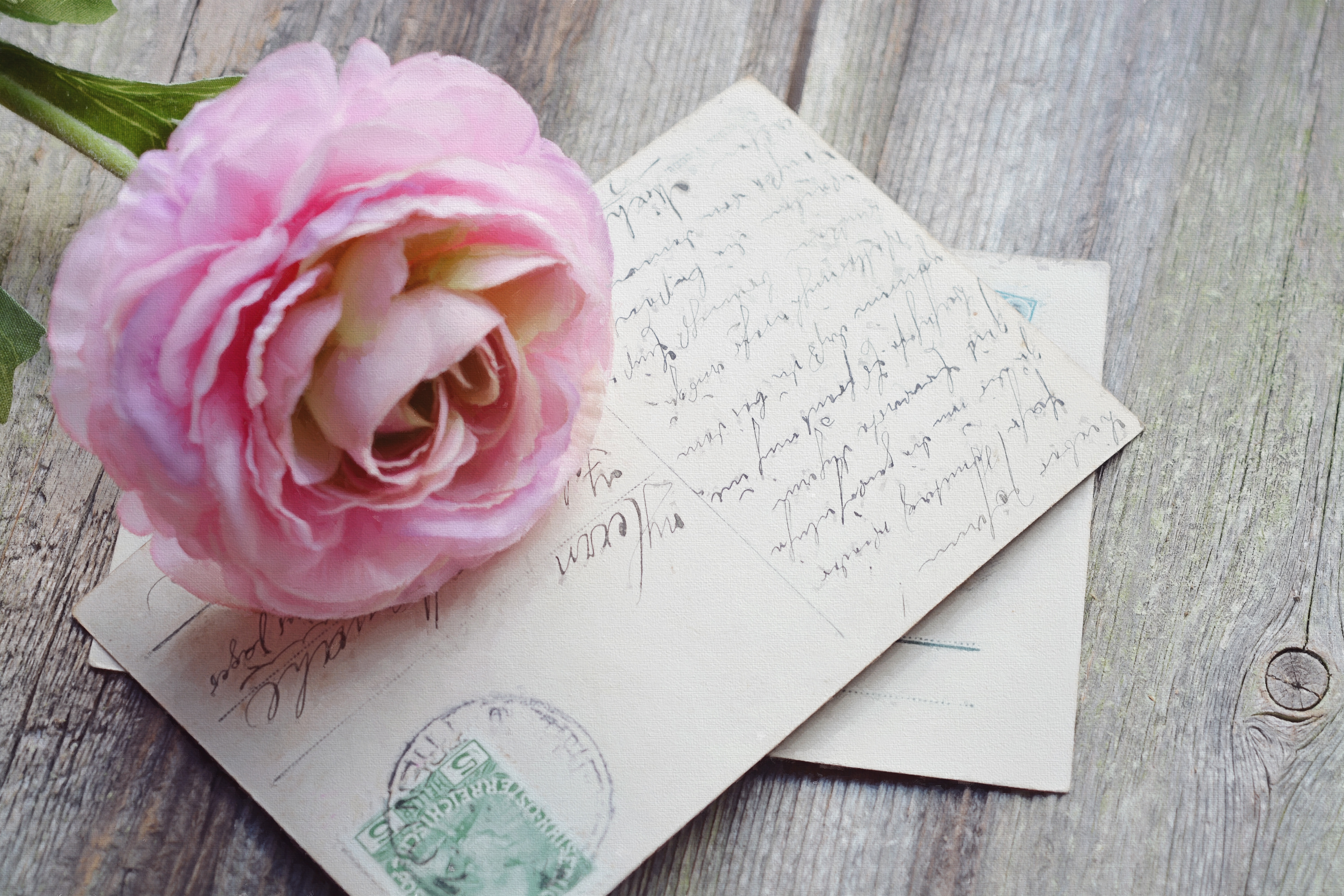 Free photo A lone pink rose lies on the letters