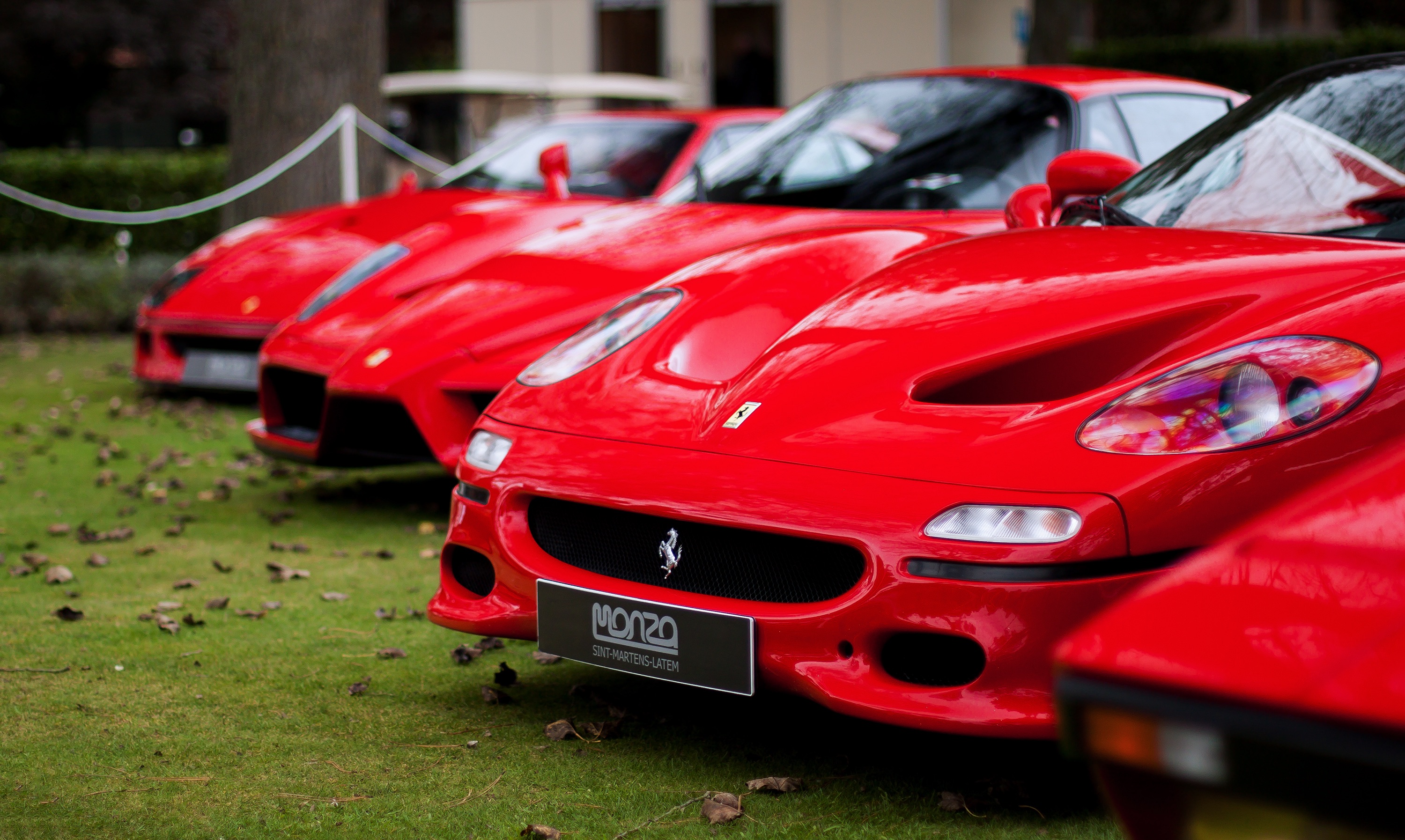Red Ferraris lined up