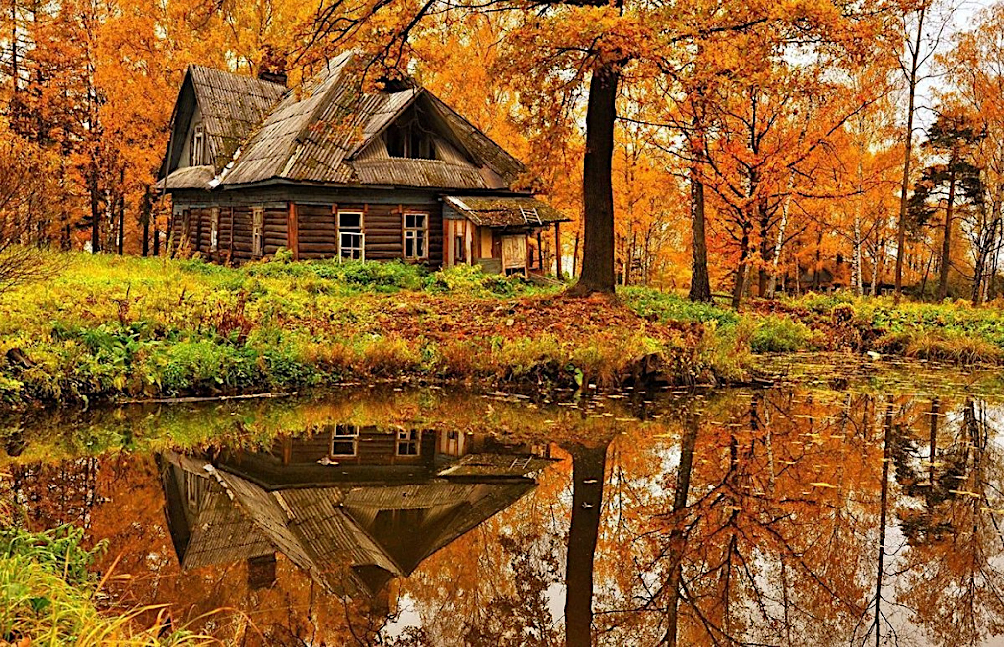 Free photo An old ruined house in the fall woods by the lake