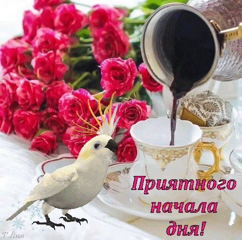 Postcard on the theme coffee morning greeting cards flowers download for free