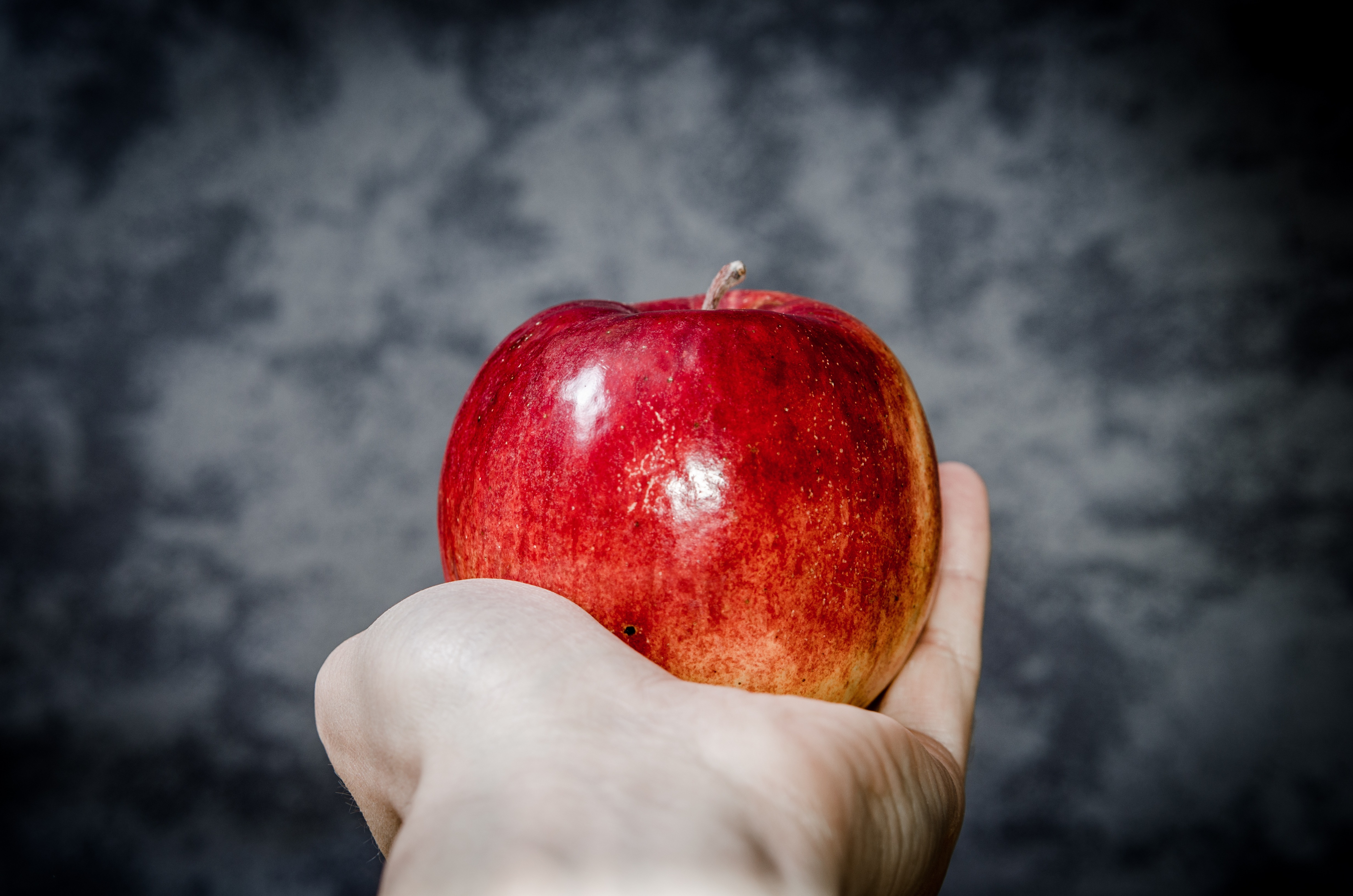 Free photo Red apple in hand