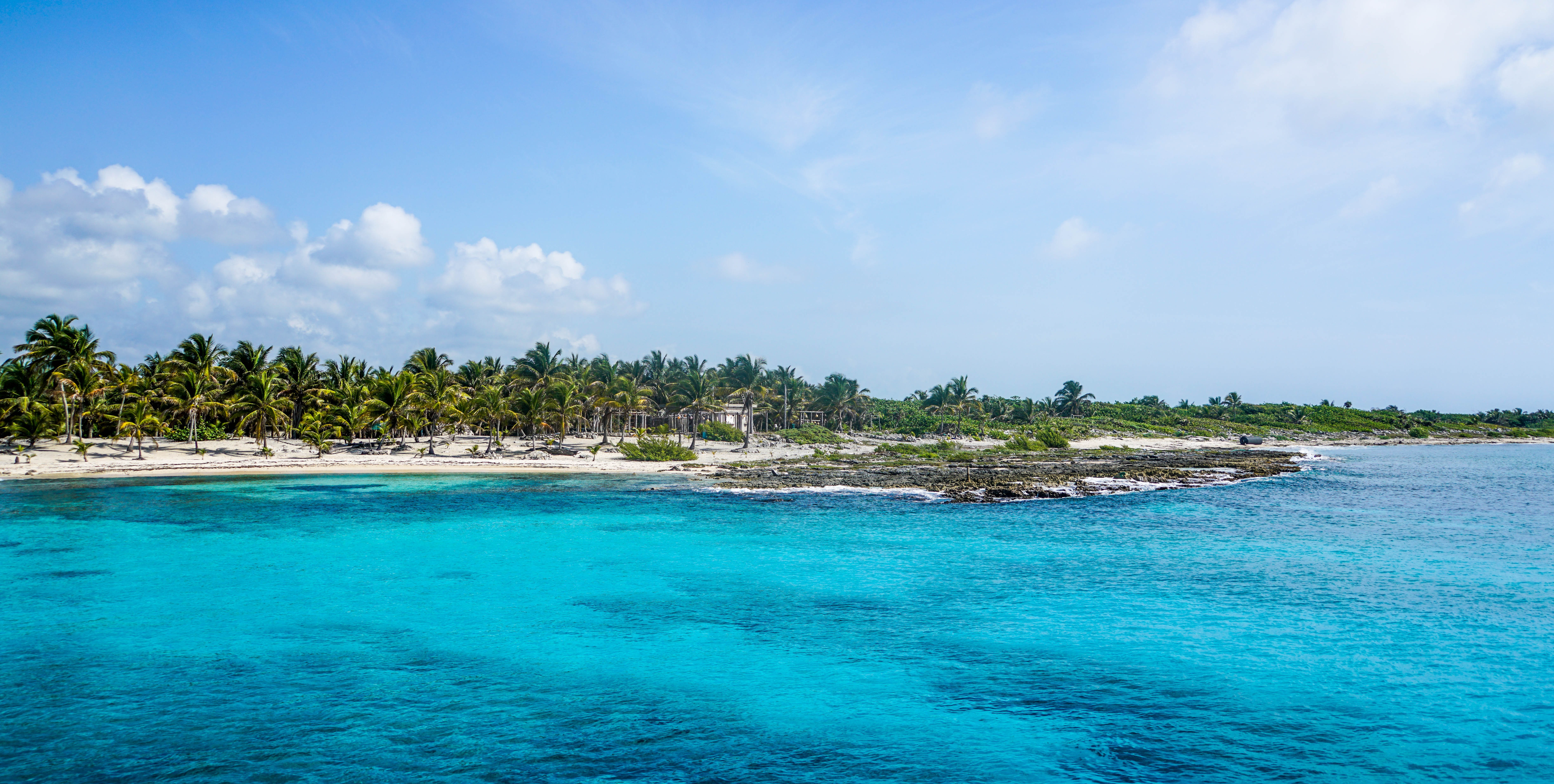 Free photo View of the island with palm trees