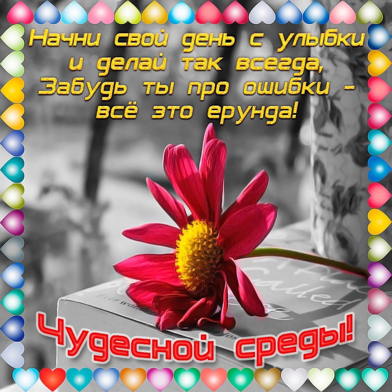 Открытка на тему чудесной среды кошки скачать бесплатно