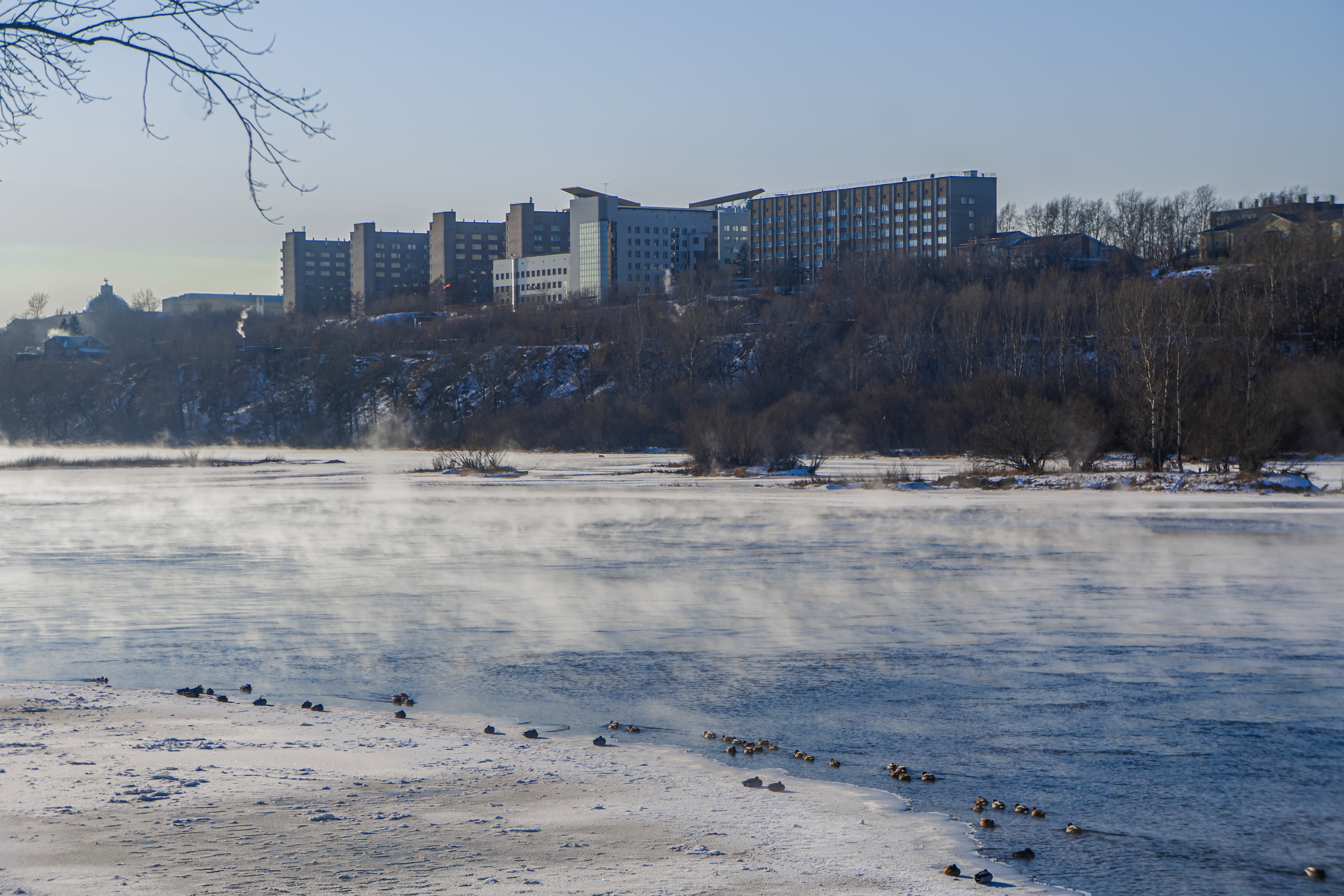 Wallpapers frost day park on the desktop